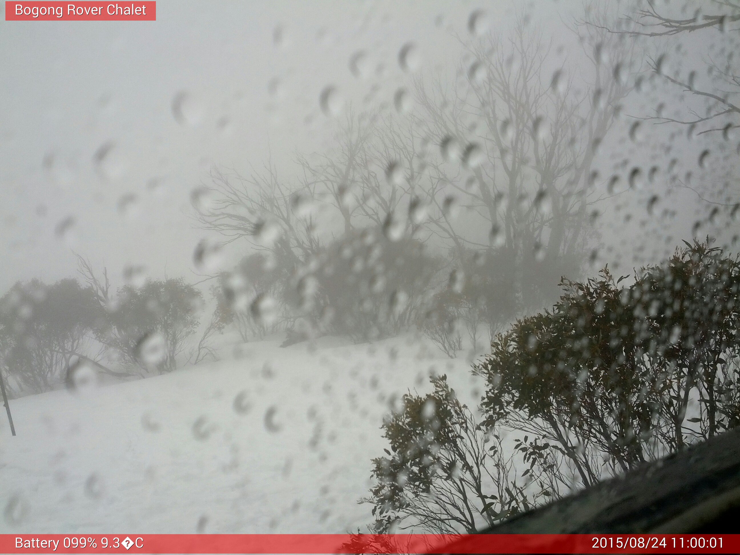 Bogong Web Cam 11:00am Monday 24th of August 2015