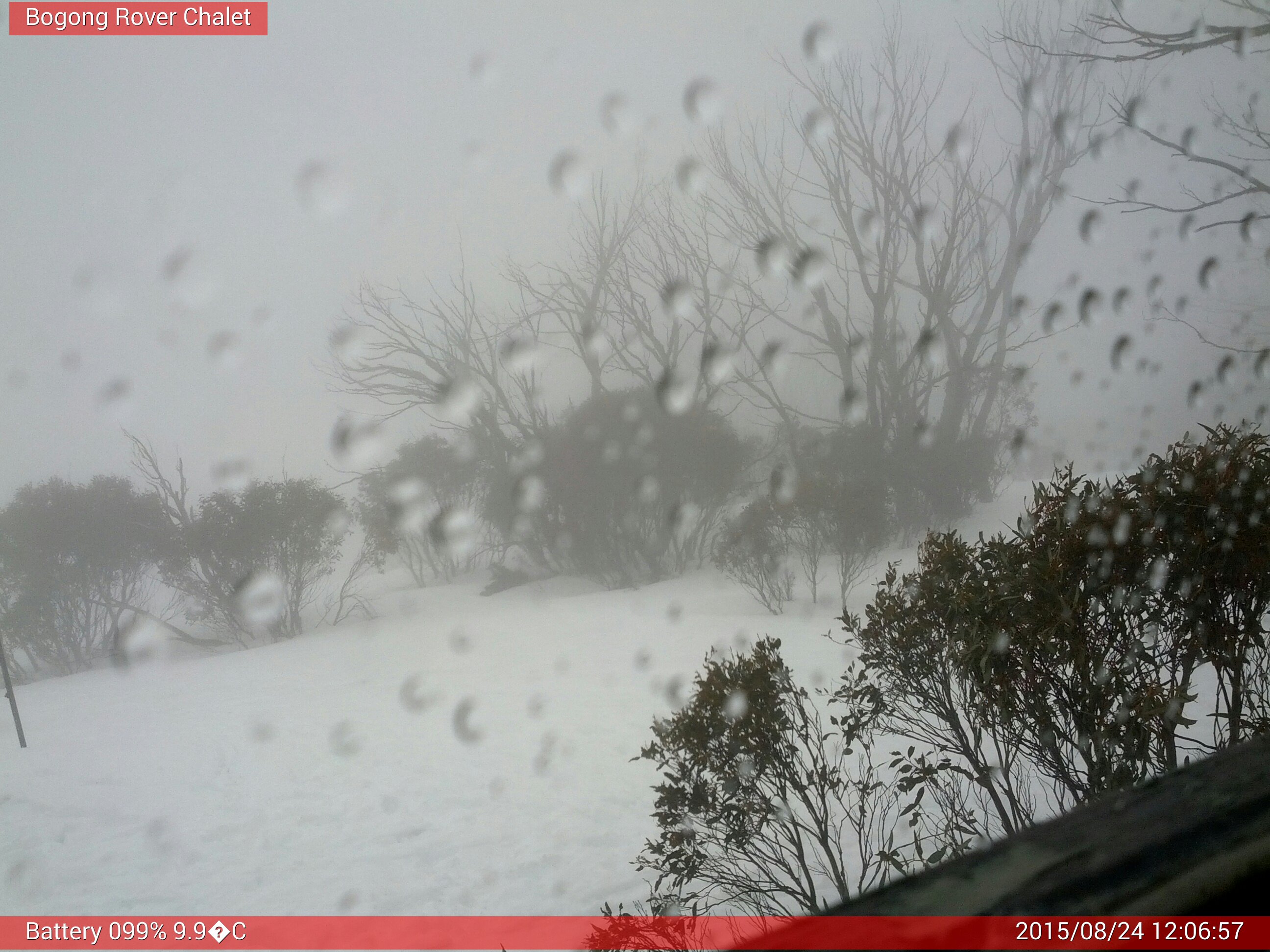 Bogong Web Cam 12:06pm Monday 24th of August 2015