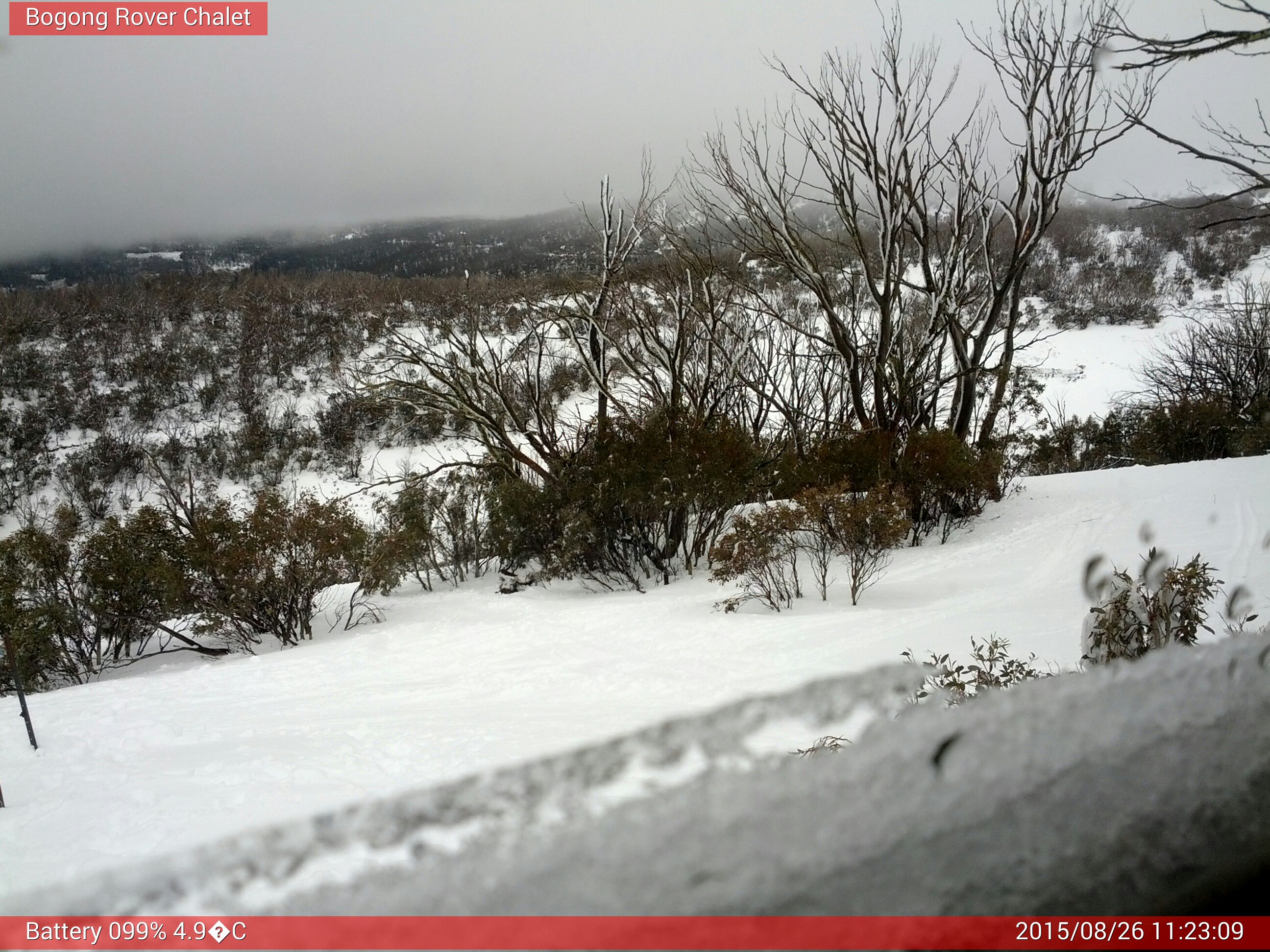 Bogong Web Cam 11:23am Wednesday 26th of August 2015