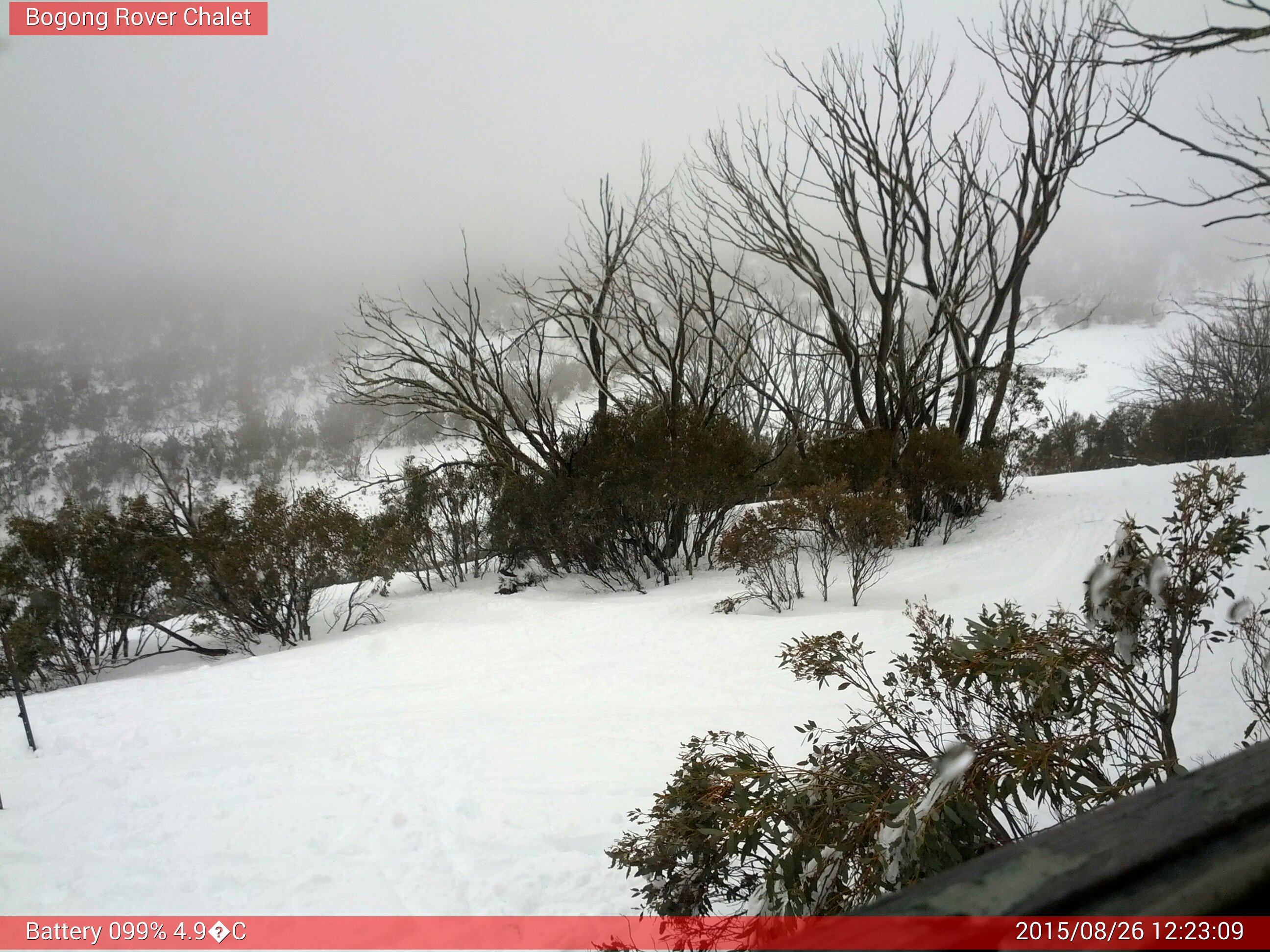 Bogong Web Cam 12:23pm Wednesday 26th of August 2015