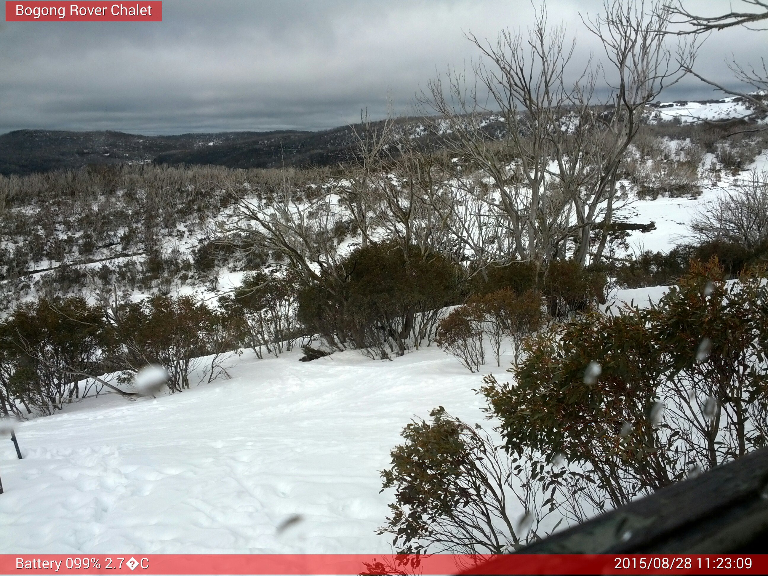 Bogong Web Cam 11:23am Friday 28th of August 2015