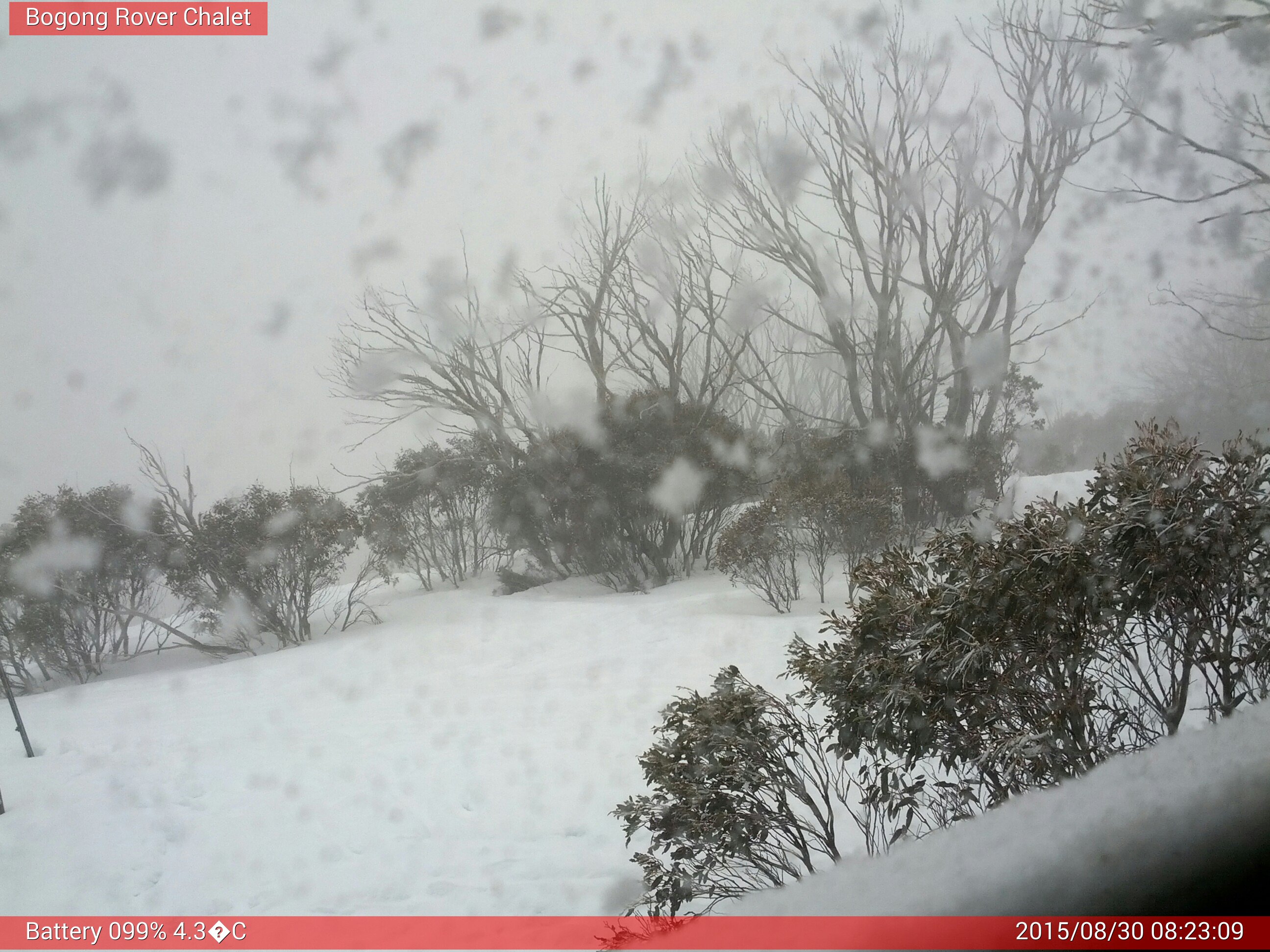 Bogong Web Cam 8:23am Sunday 30th of August 2015