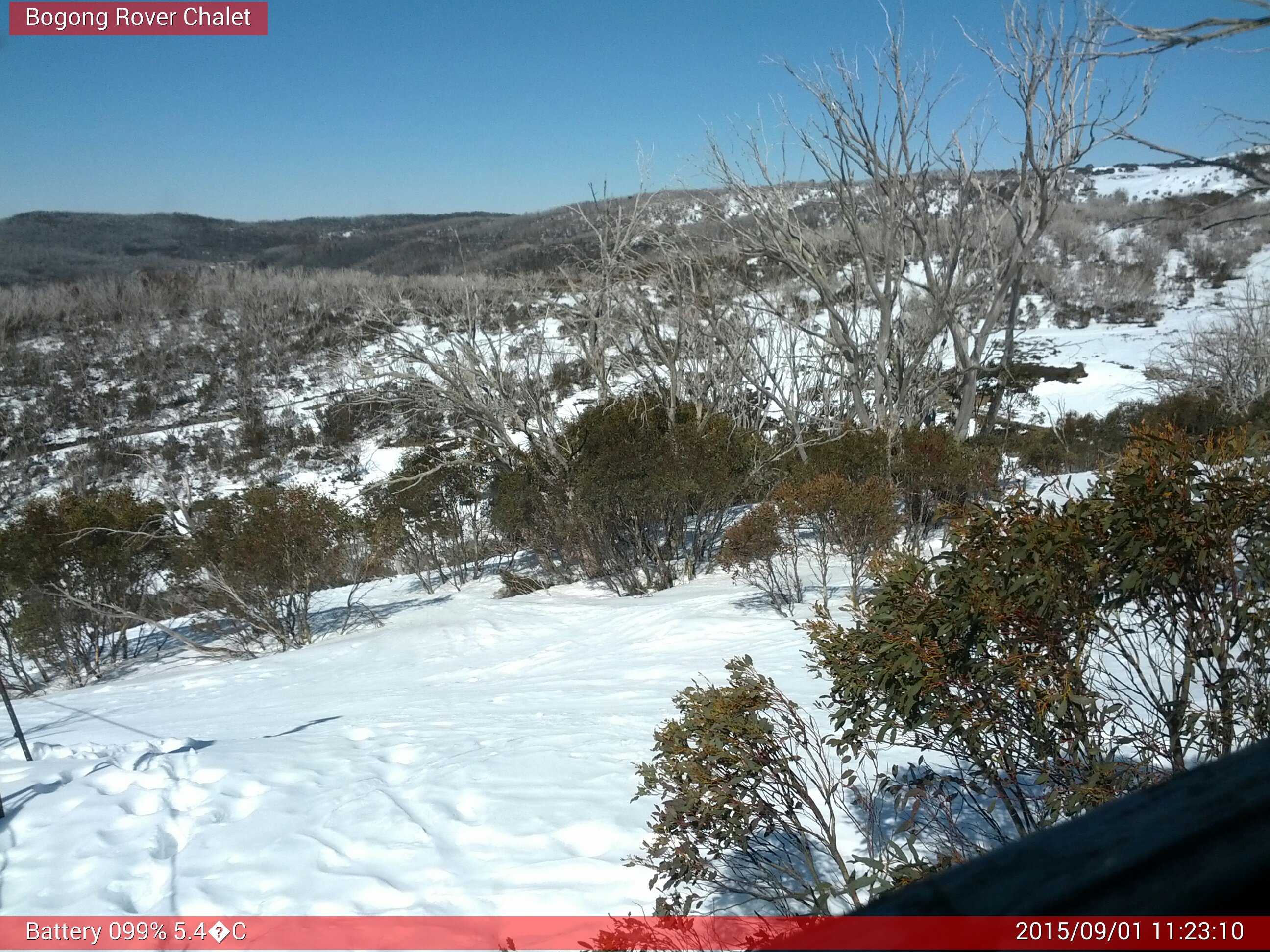 Bogong Web Cam 11:23am Tuesday 1st of September 2015