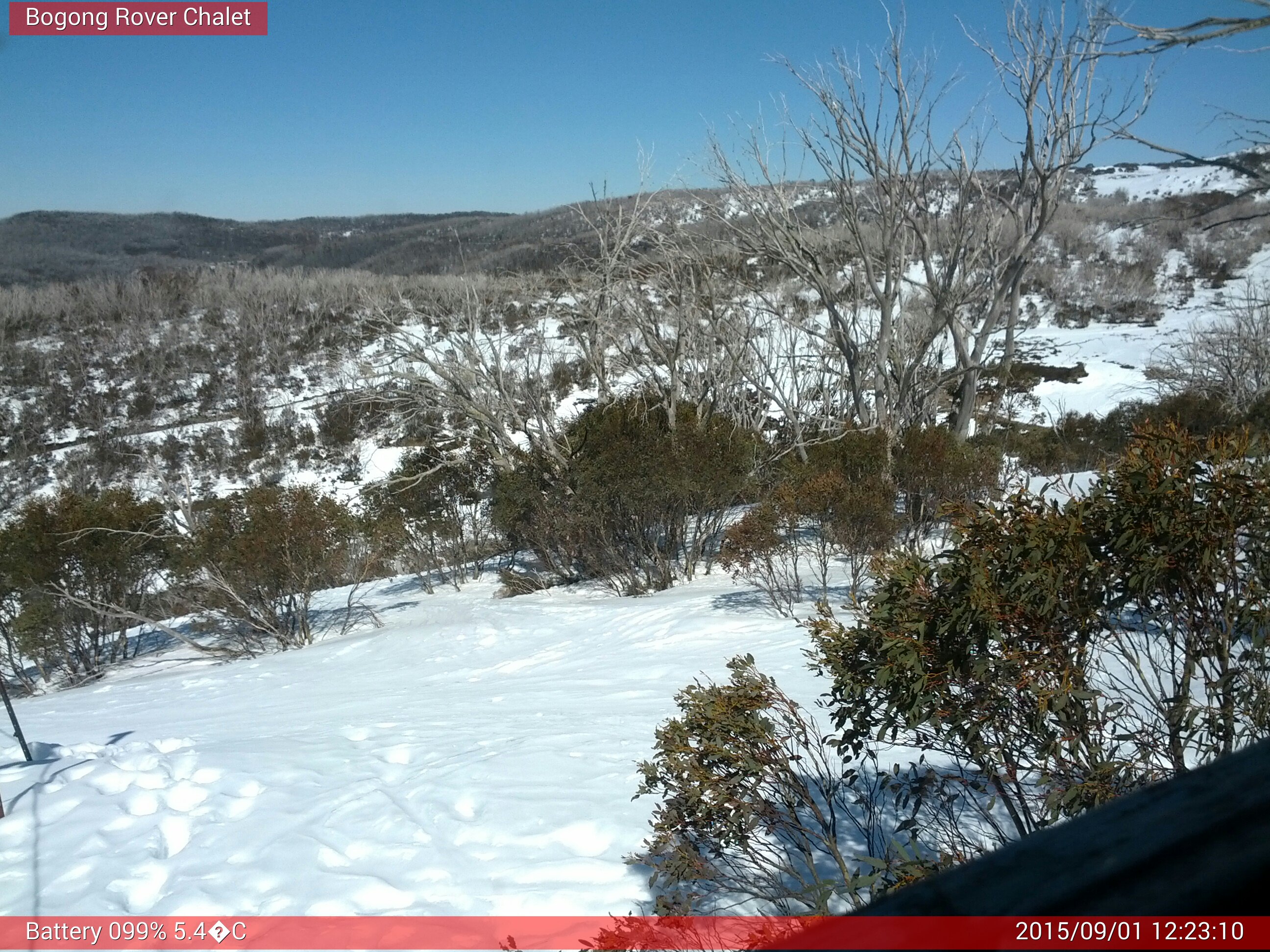 Bogong Web Cam 12:23pm Tuesday 1st of September 2015