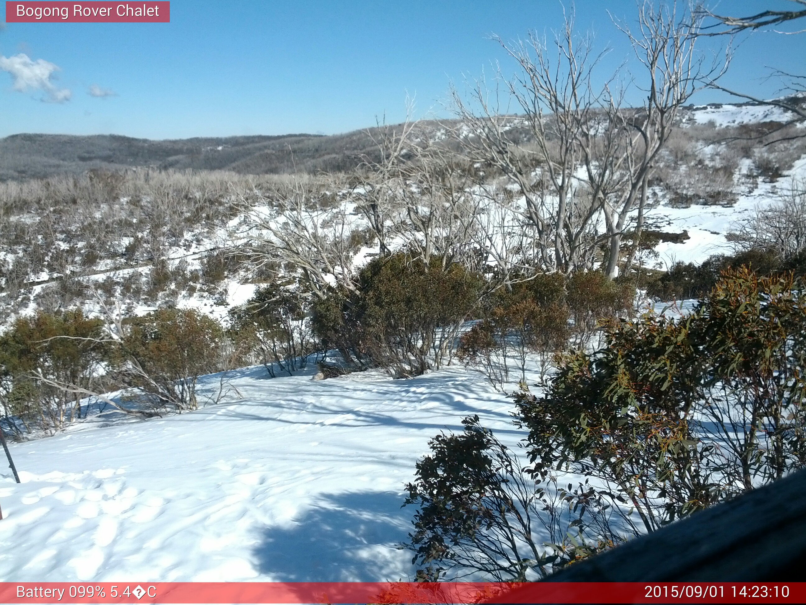 Bogong Web Cam 2:23pm Tuesday 1st of September 2015