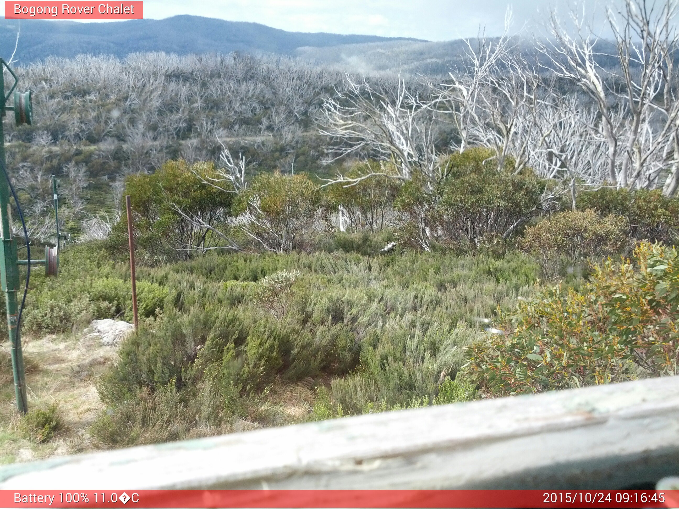 Bogong Web Cam 9:16am Saturday 24th of October 2015