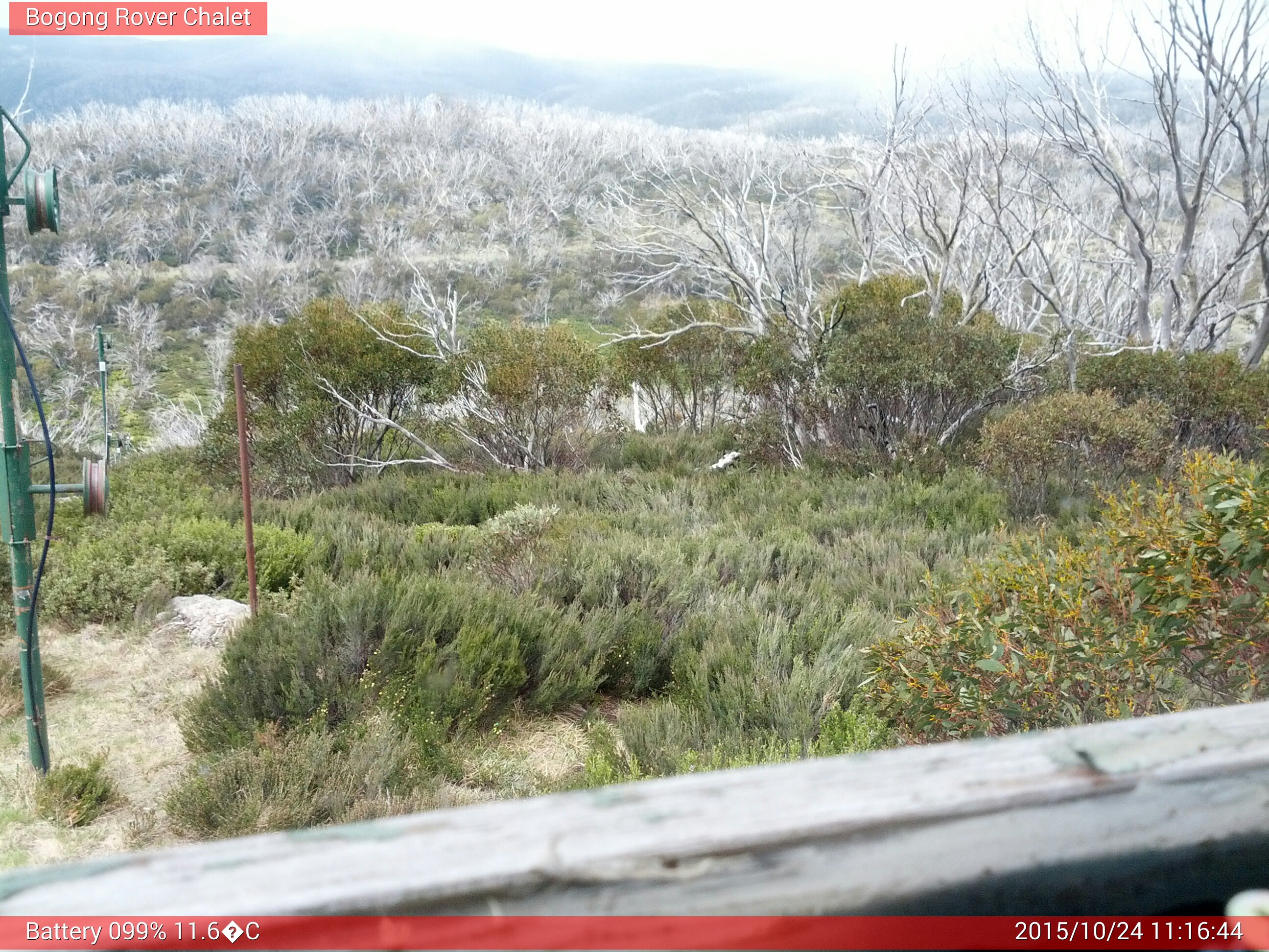 Bogong Web Cam 11:16am Saturday 24th of October 2015