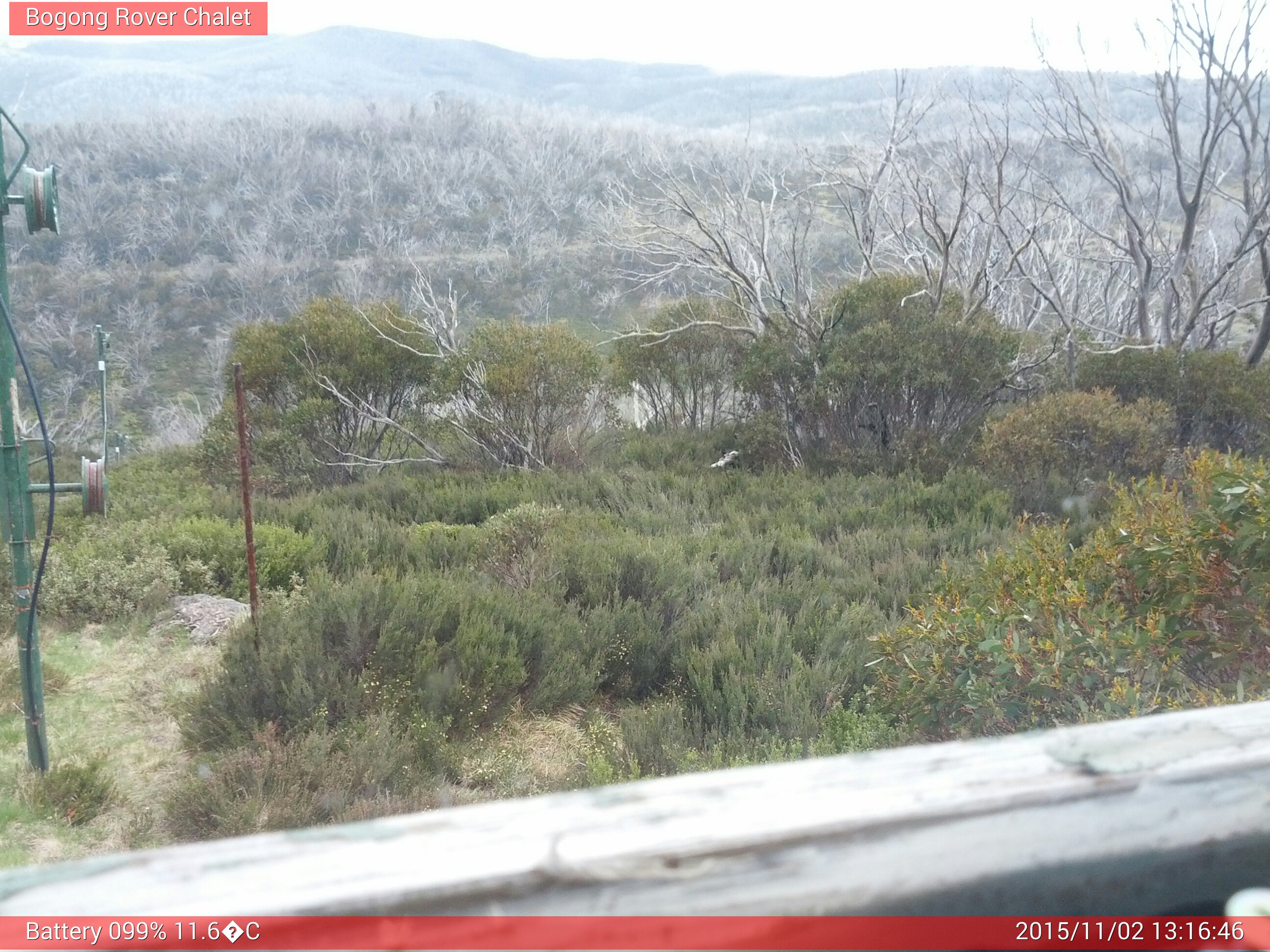 Bogong Web Cam 1:16pm Monday 2nd of November 2015