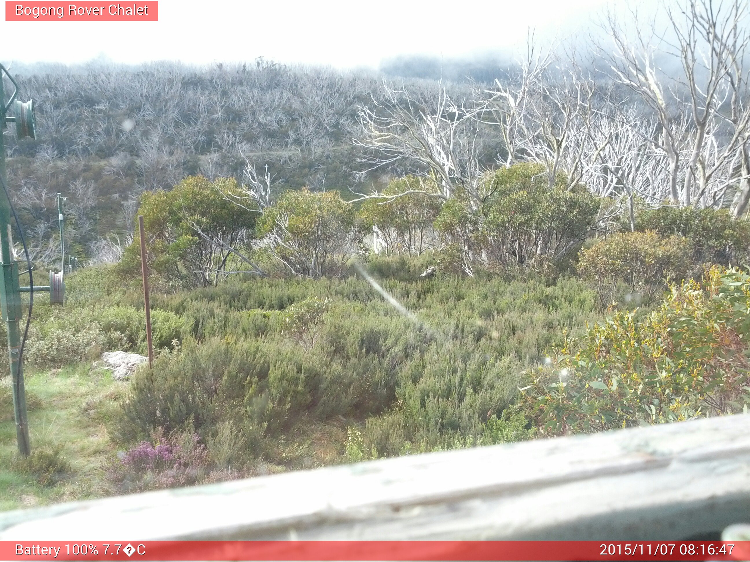 Bogong Web Cam 8:16am Saturday 7th of November 2015