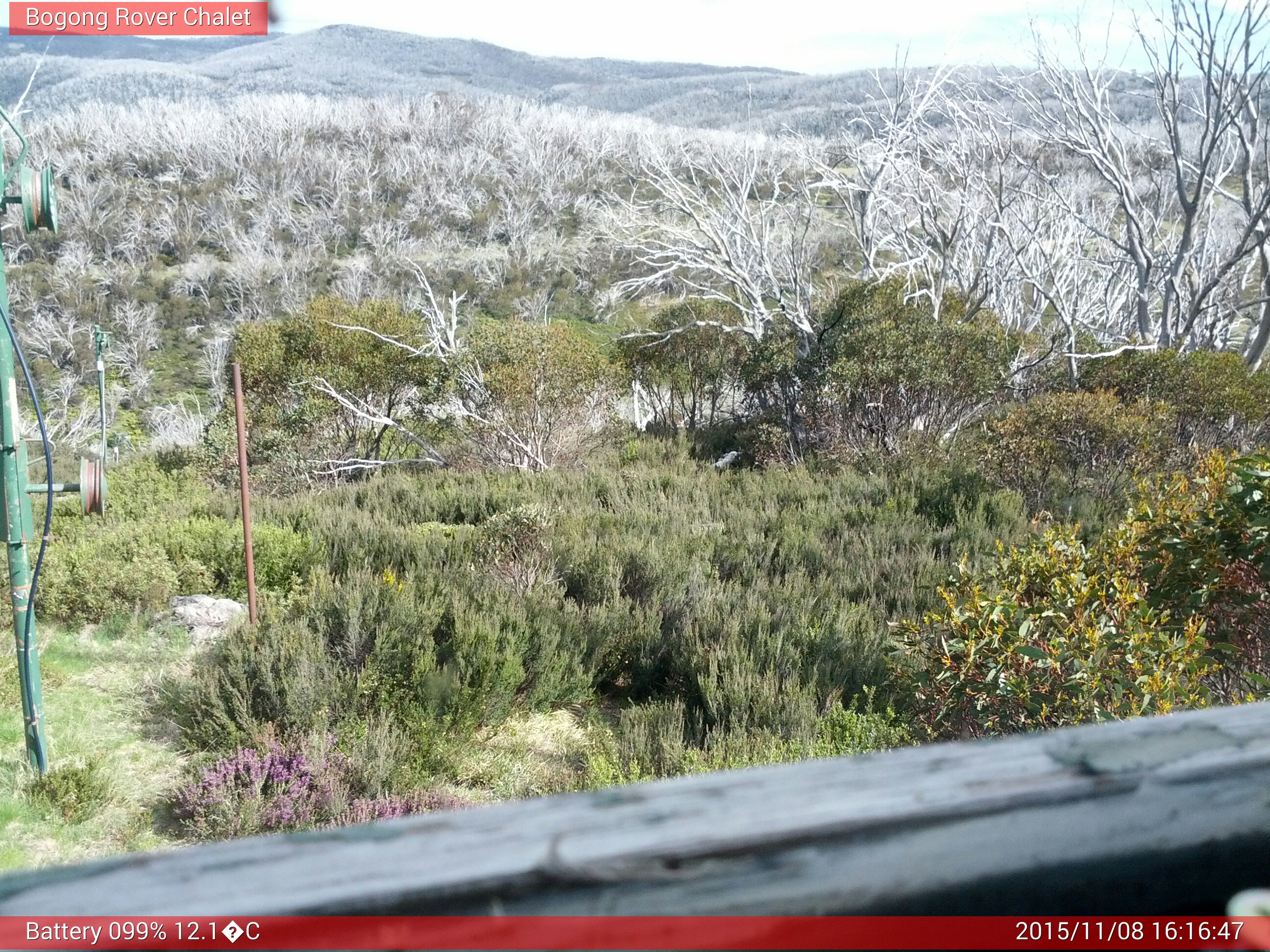 Bogong Web Cam 4:16pm Sunday 8th of November 2015