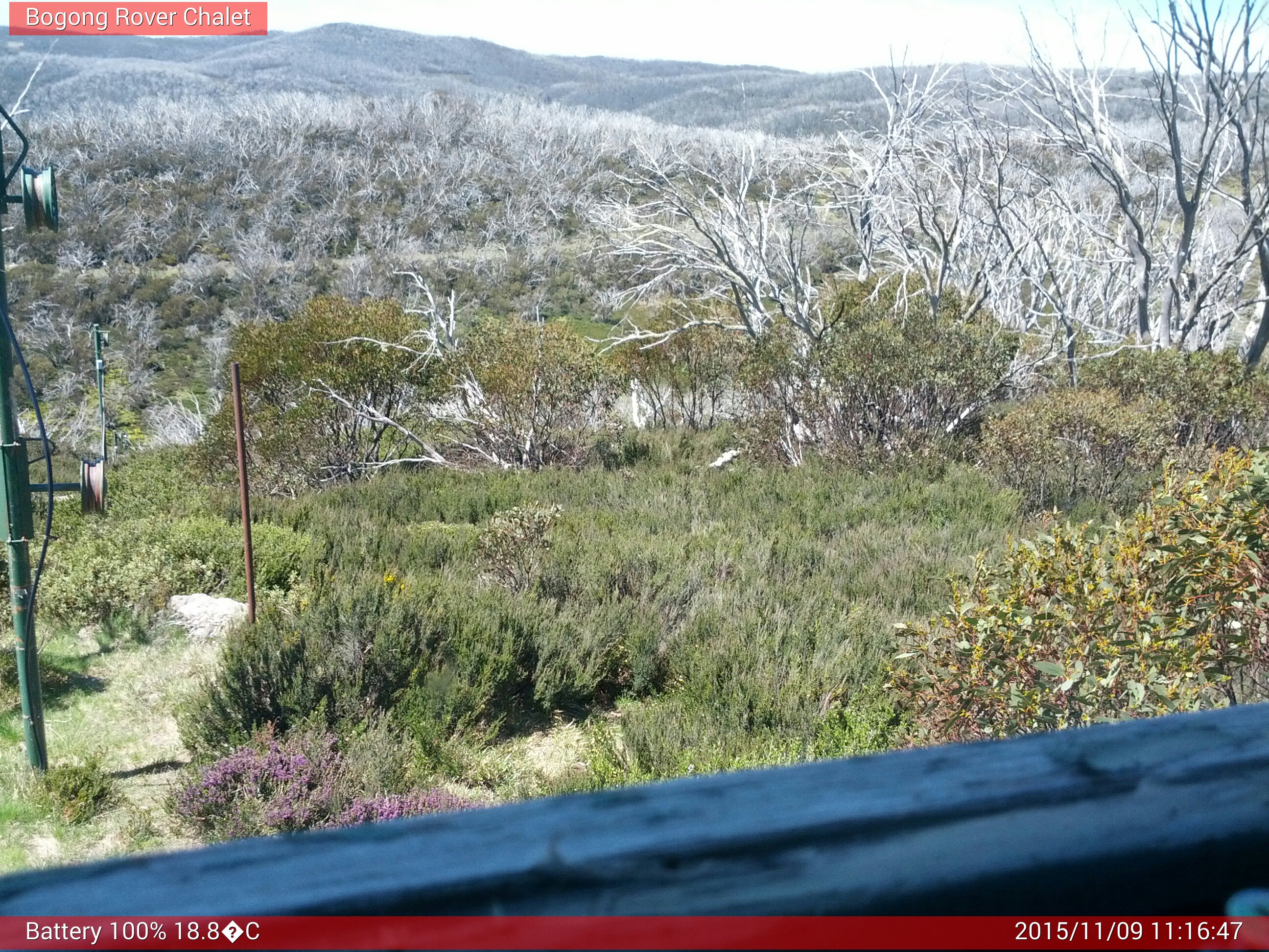 Bogong Web Cam 11:16am Monday 9th of November 2015