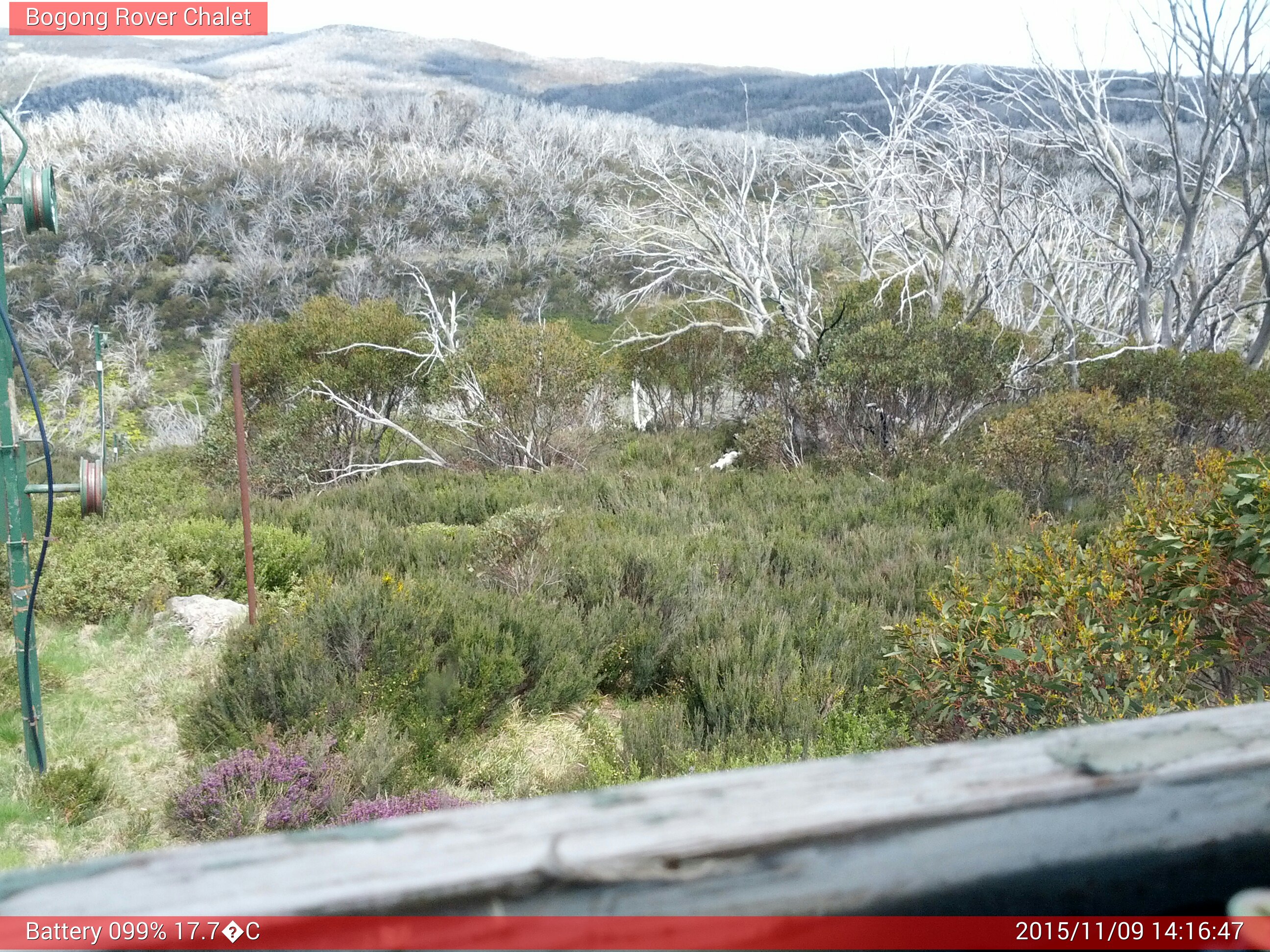 Bogong Web Cam 2:16pm Monday 9th of November 2015