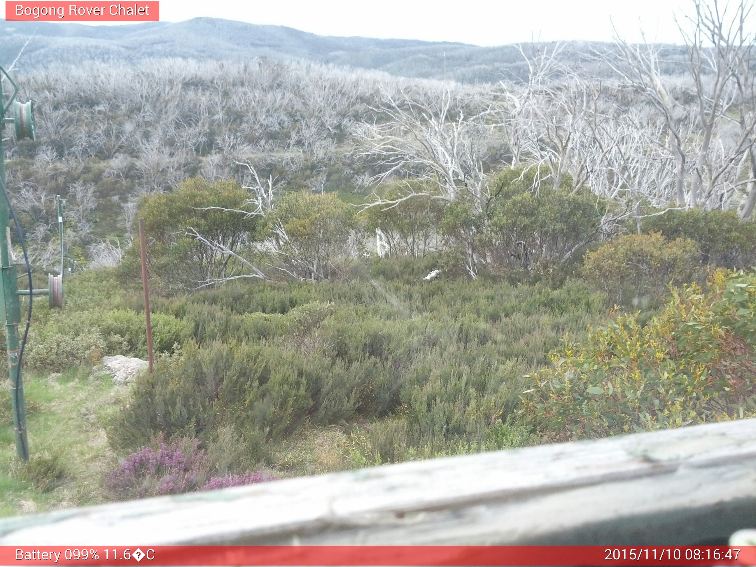 Bogong Web Cam 8:16am Tuesday 10th of November 2015