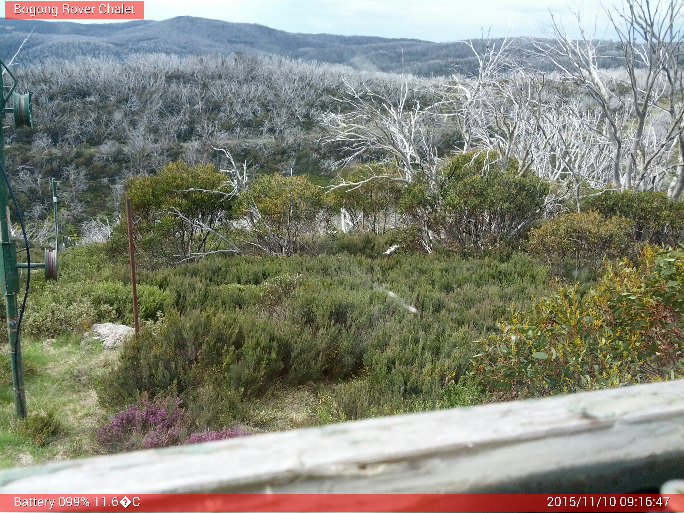 Bogong Web Cam 9:16am Tuesday 10th of November 2015