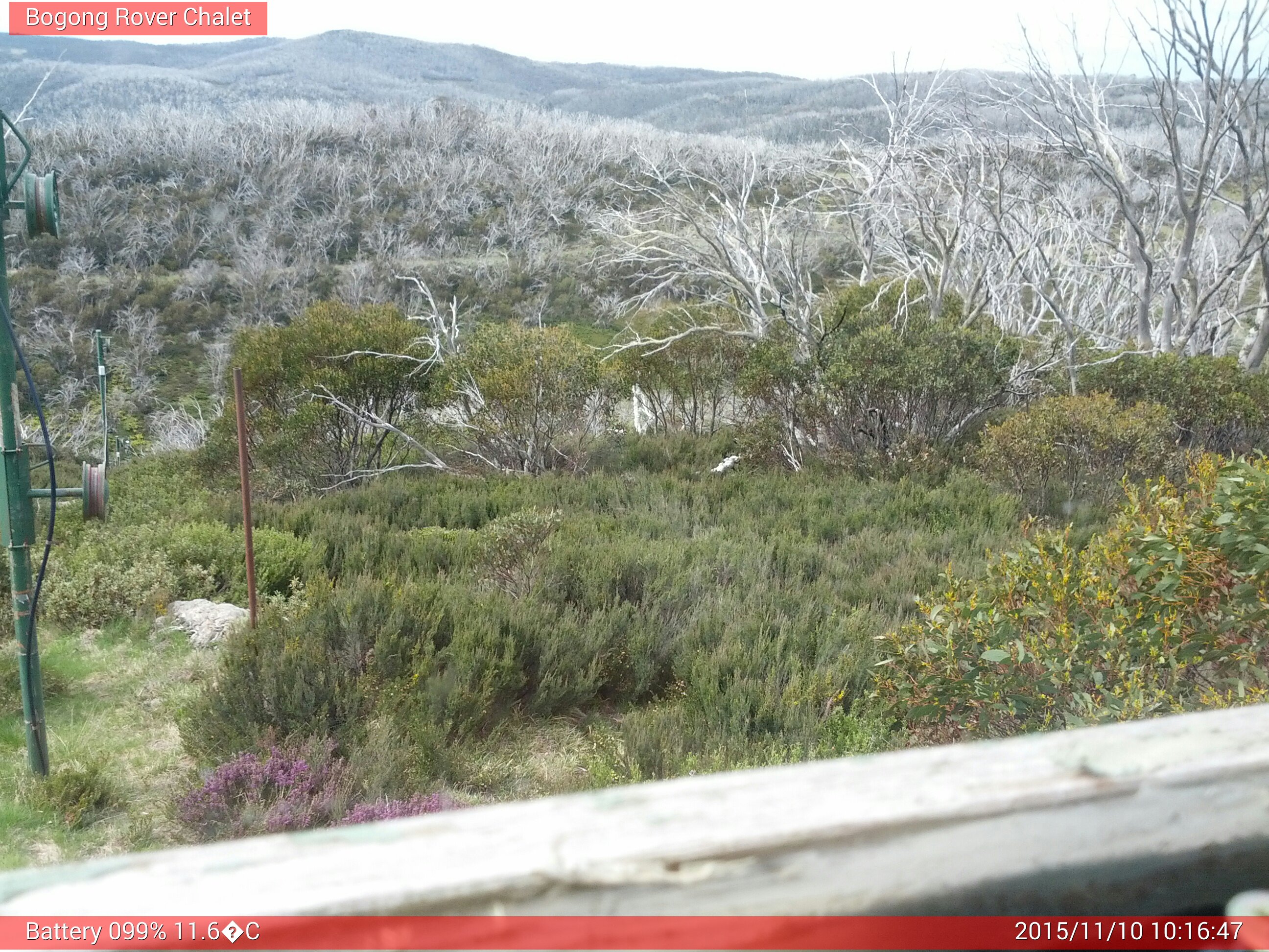 Bogong Web Cam 10:16am Tuesday 10th of November 2015