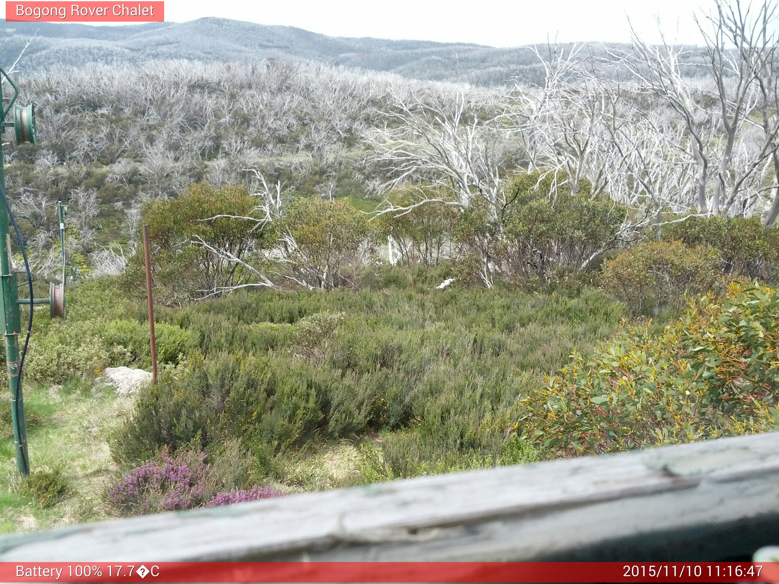 Bogong Web Cam 11:16am Tuesday 10th of November 2015