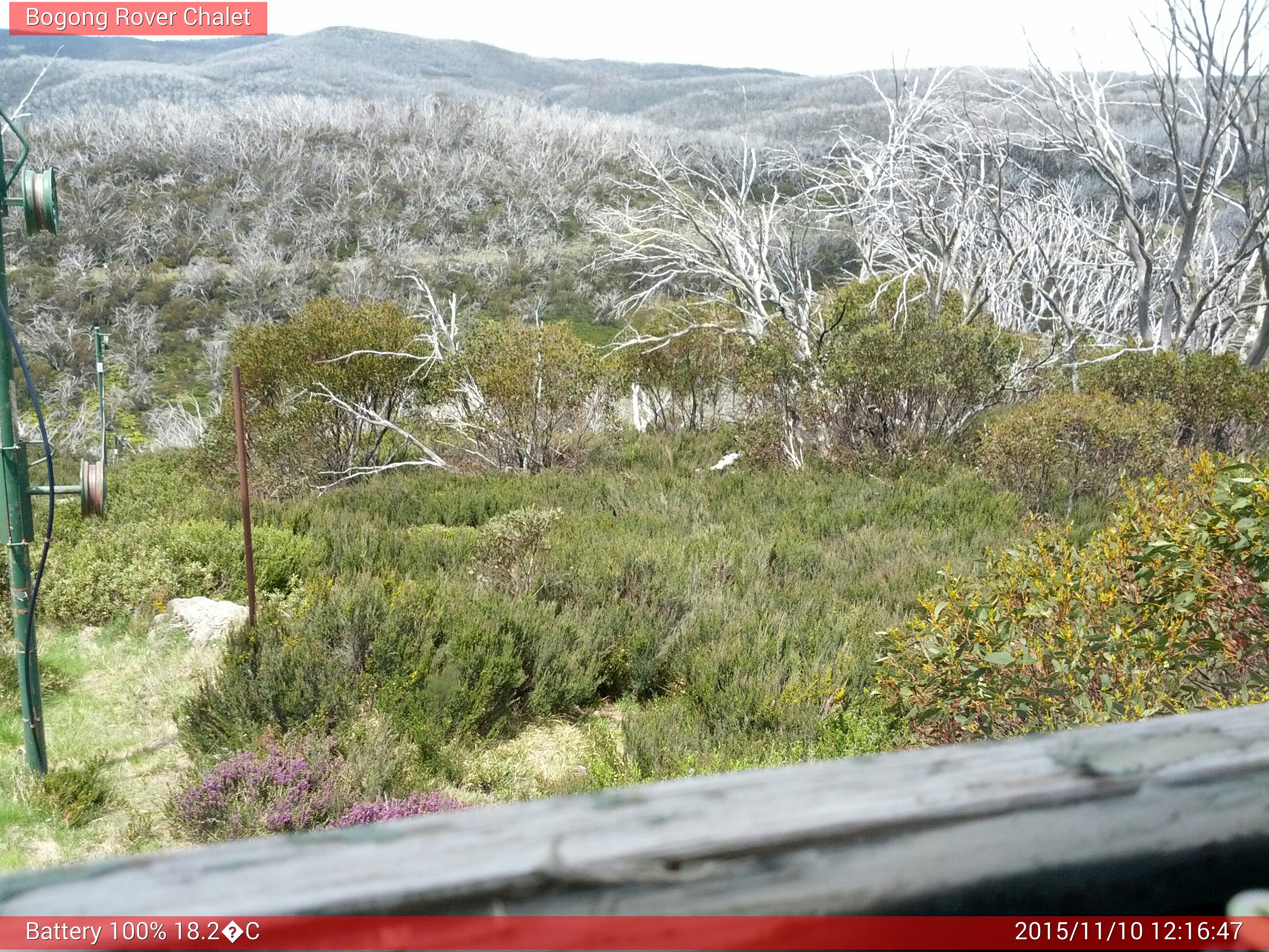 Bogong Web Cam 12:16pm Tuesday 10th of November 2015