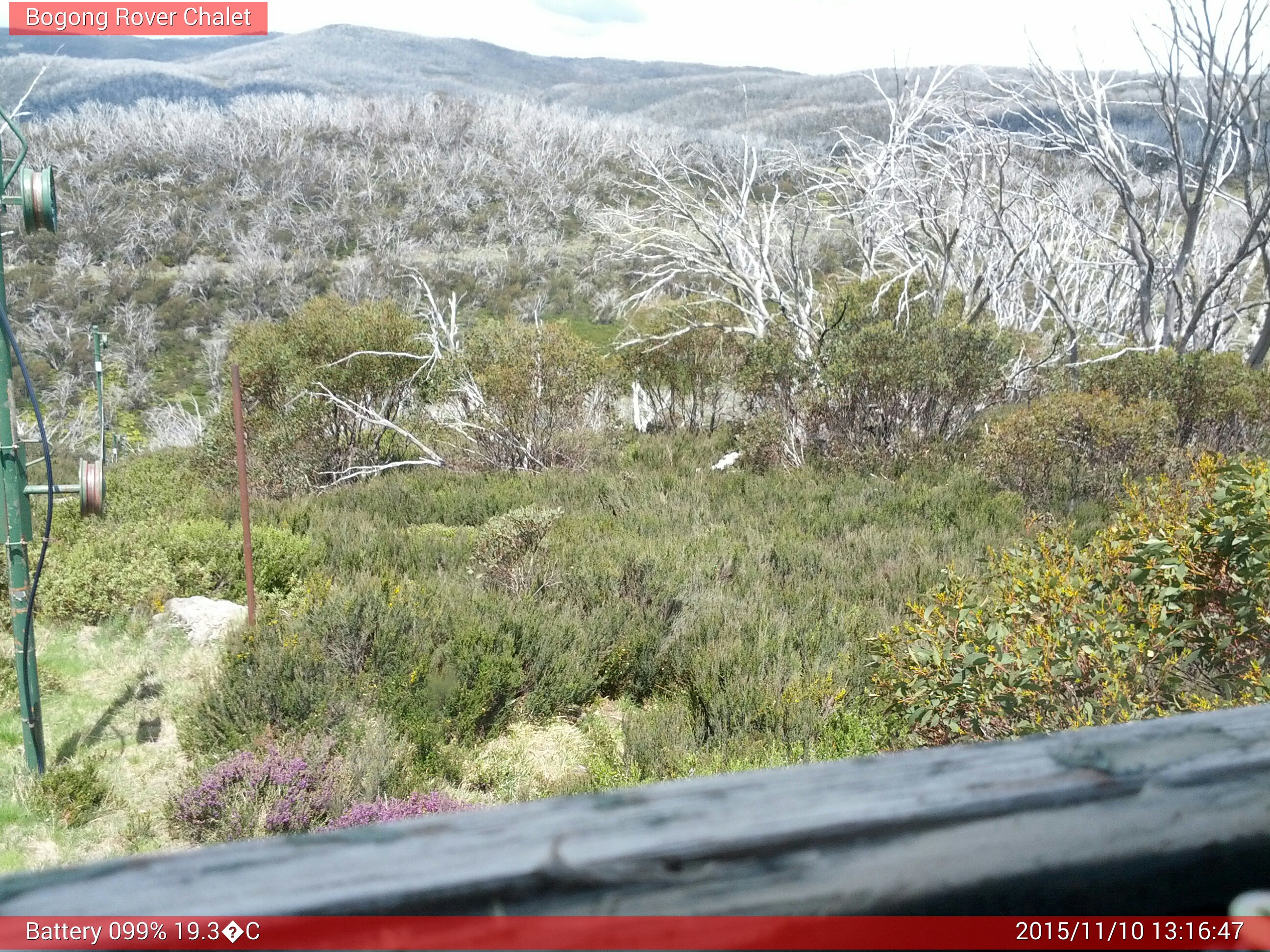 Bogong Web Cam 1:16pm Tuesday 10th of November 2015