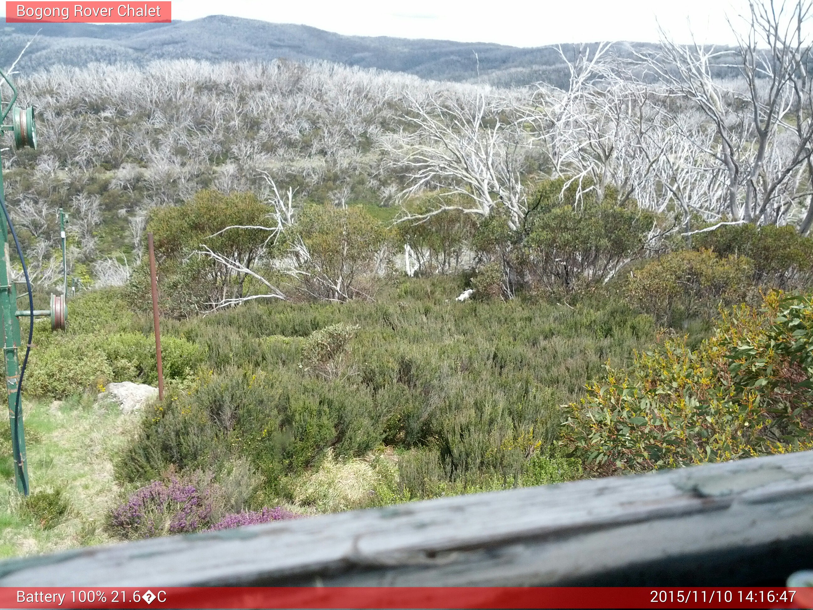 Bogong Web Cam 2:16pm Tuesday 10th of November 2015