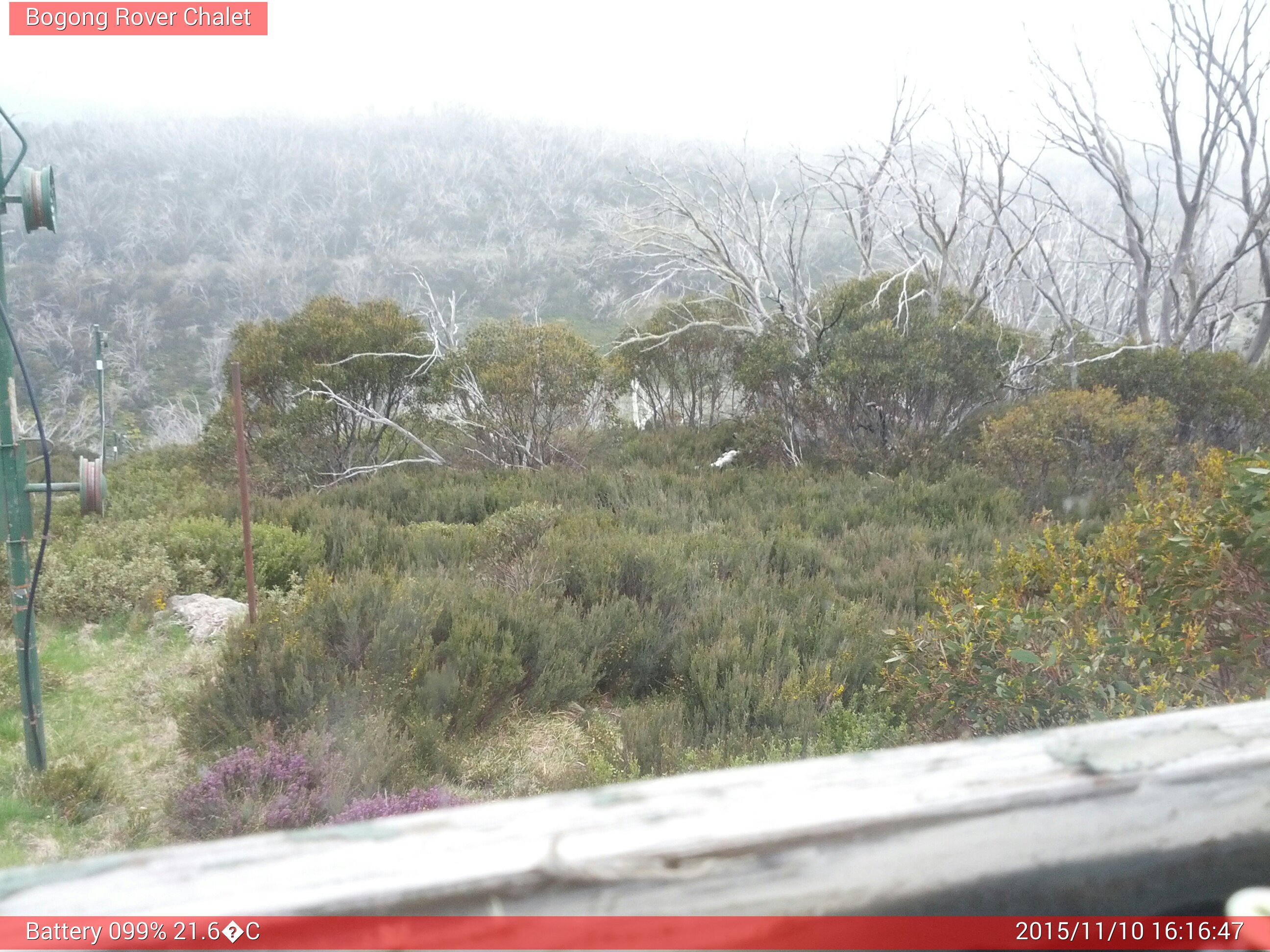 Bogong Web Cam 4:16pm Tuesday 10th of November 2015