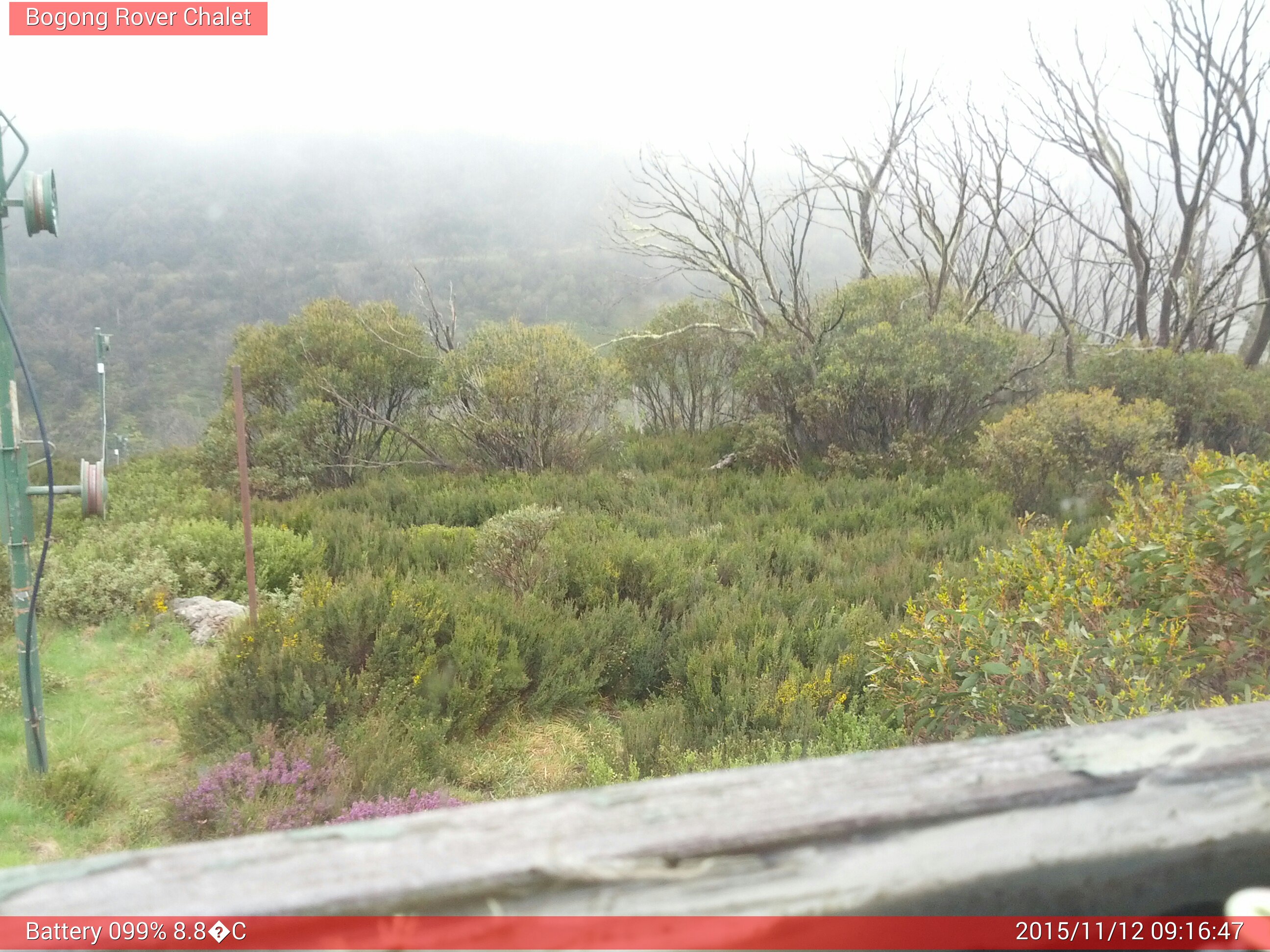 Bogong Web Cam 9:16am Thursday 12th of November 2015