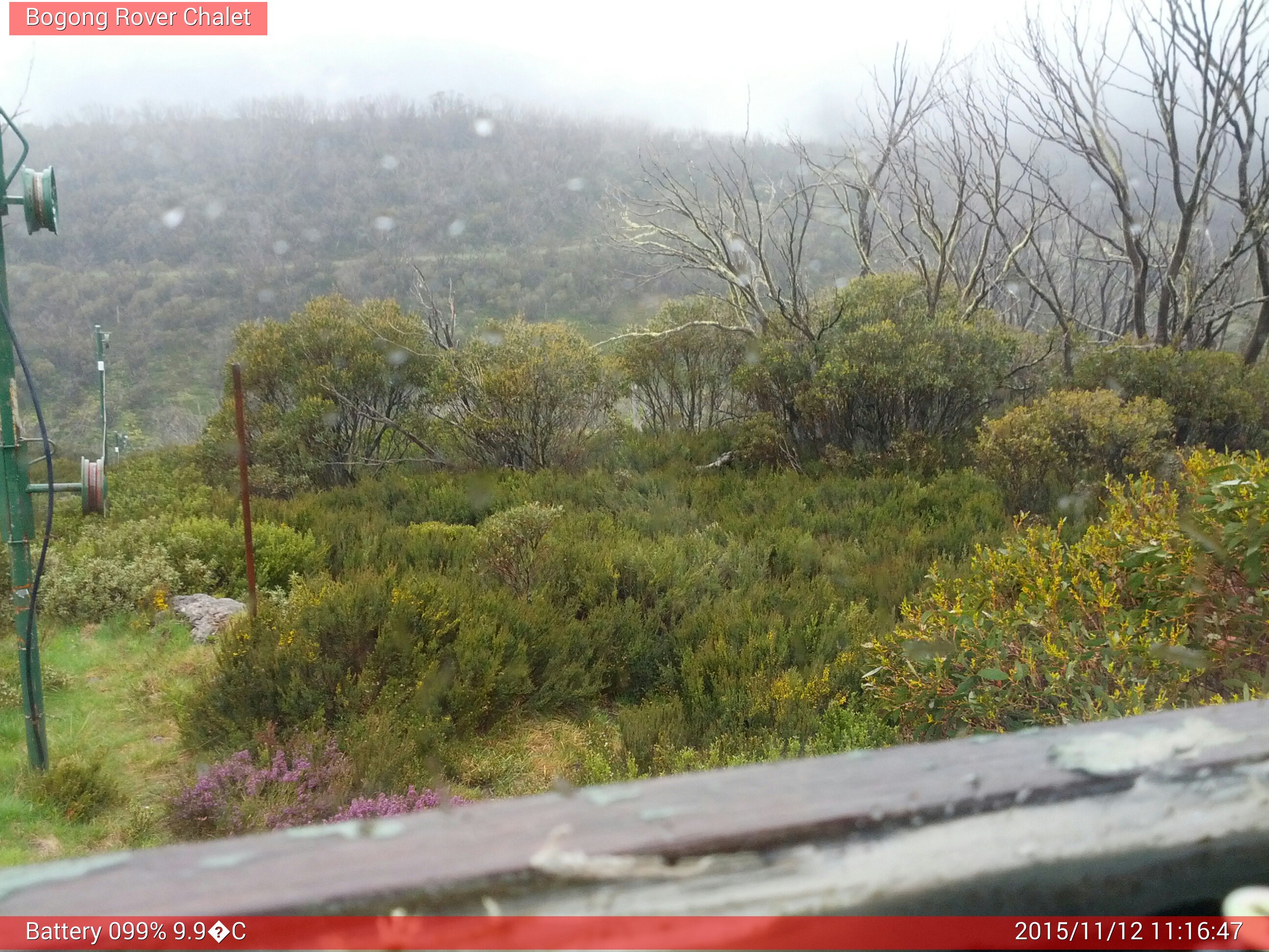 Bogong Web Cam 11:16am Thursday 12th of November 2015