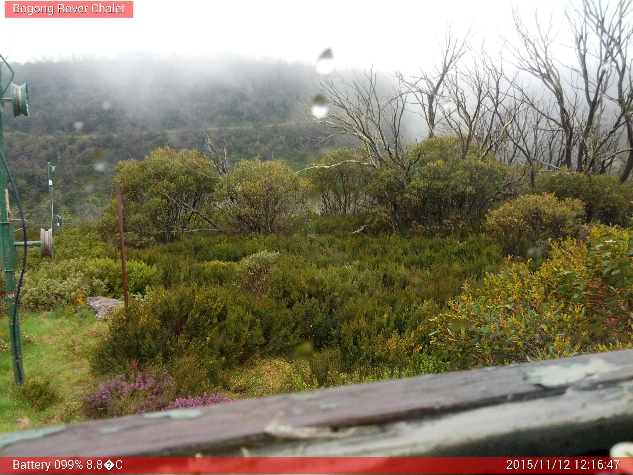 Bogong Web Cam 12:16pm Thursday 12th of November 2015