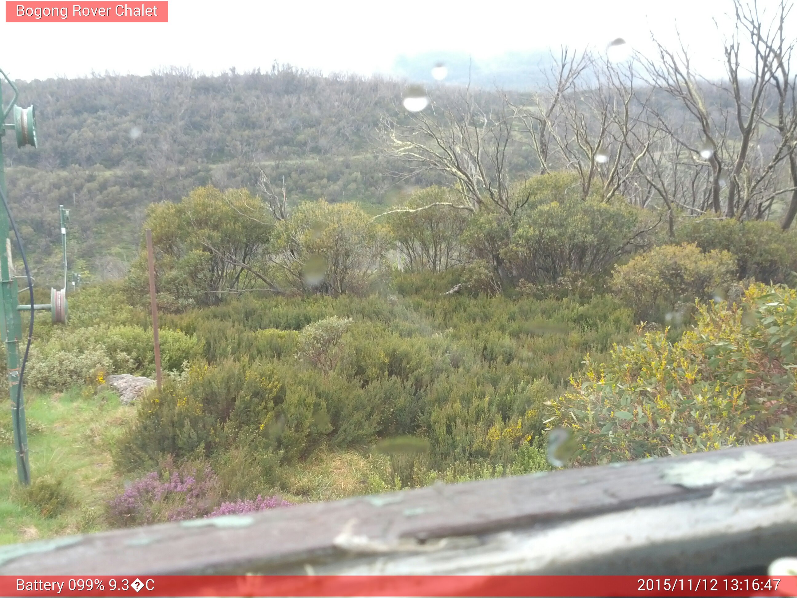 Bogong Web Cam 1:16pm Thursday 12th of November 2015