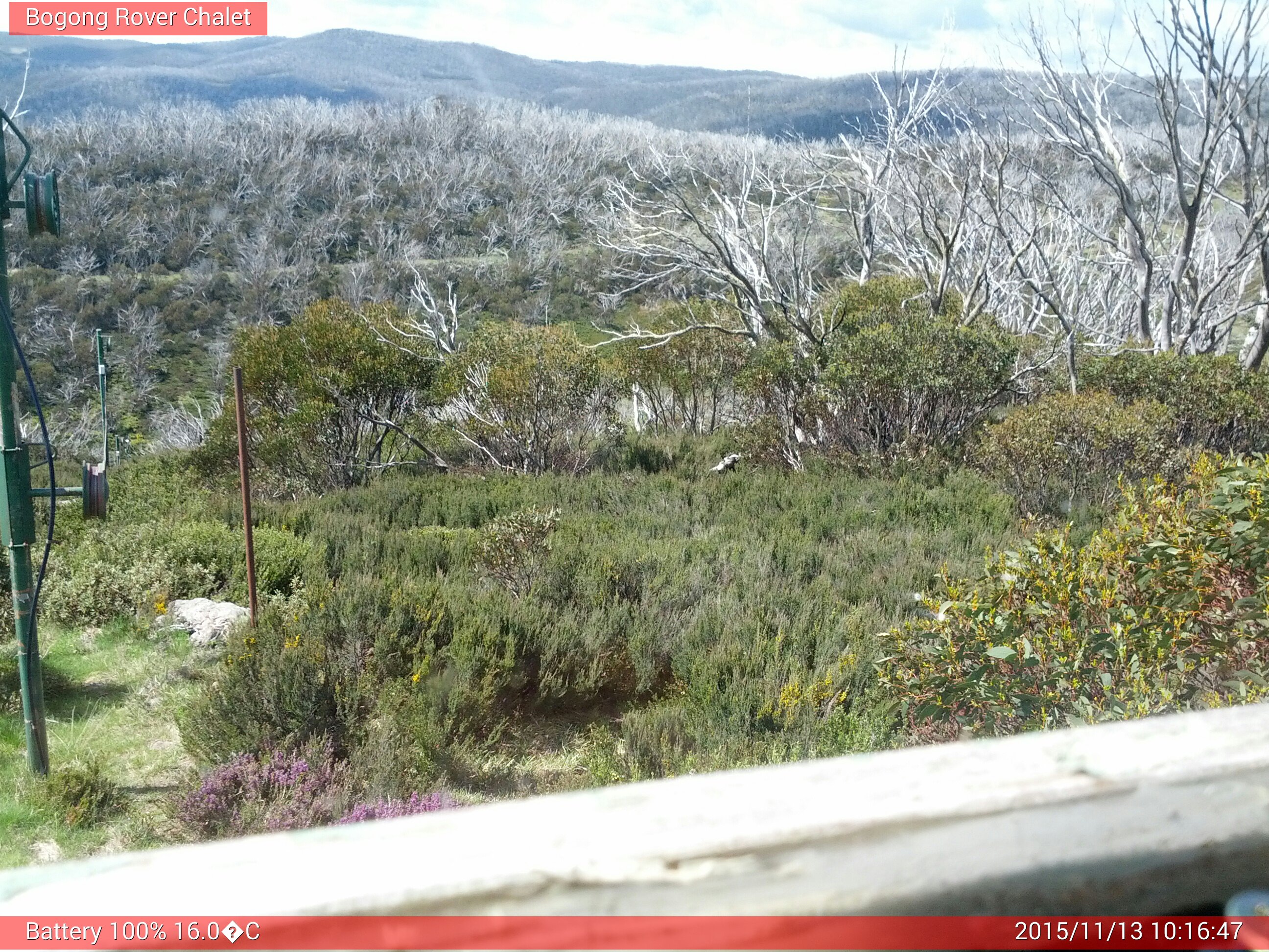 Bogong Web Cam 10:16am Friday 13th of November 2015