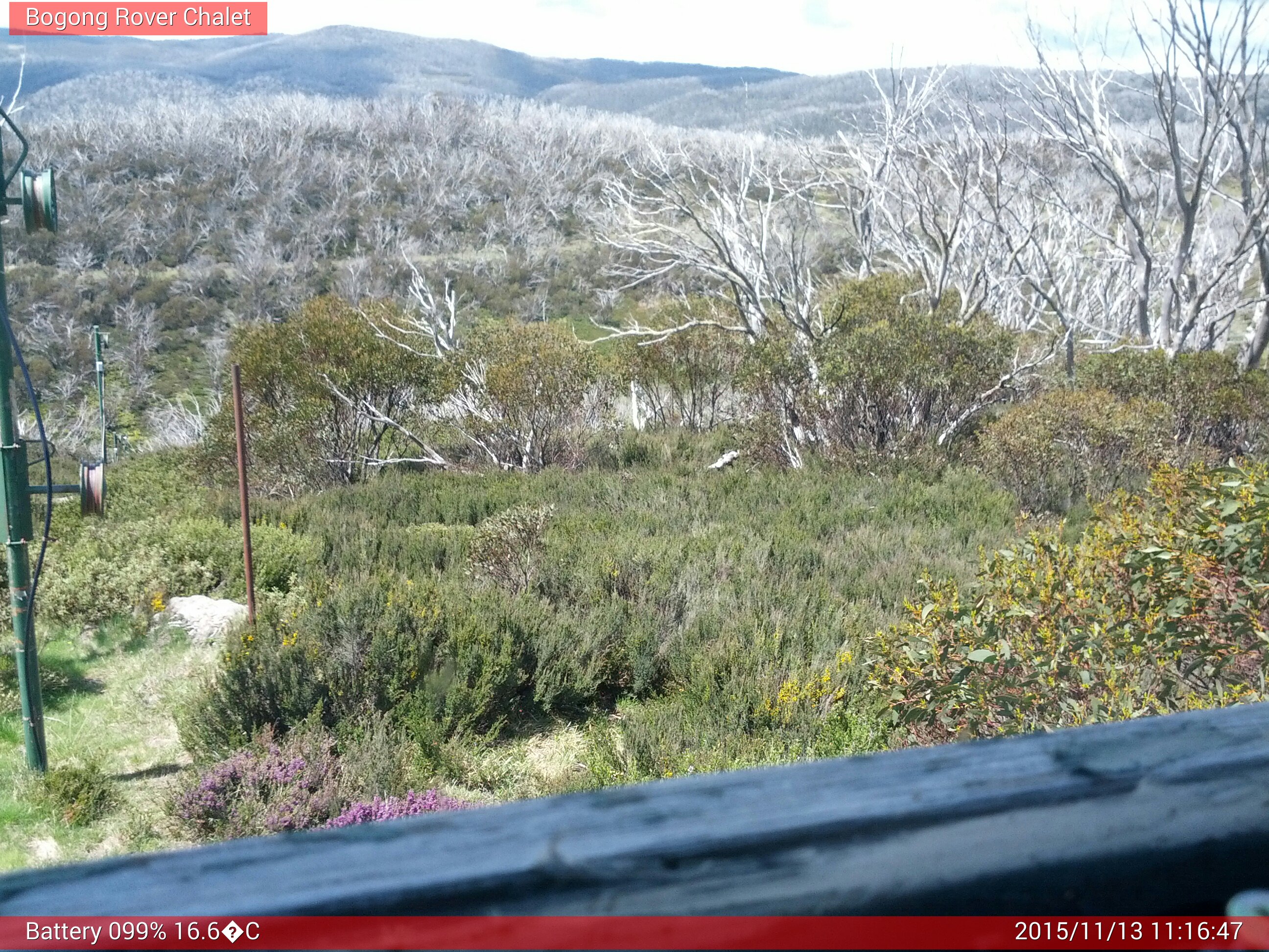 Bogong Web Cam 11:16am Friday 13th of November 2015