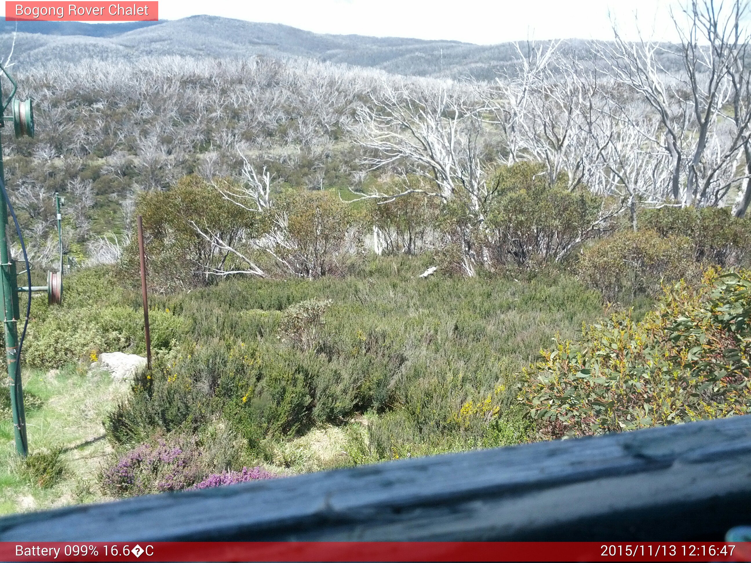 Bogong Web Cam 12:16pm Friday 13th of November 2015