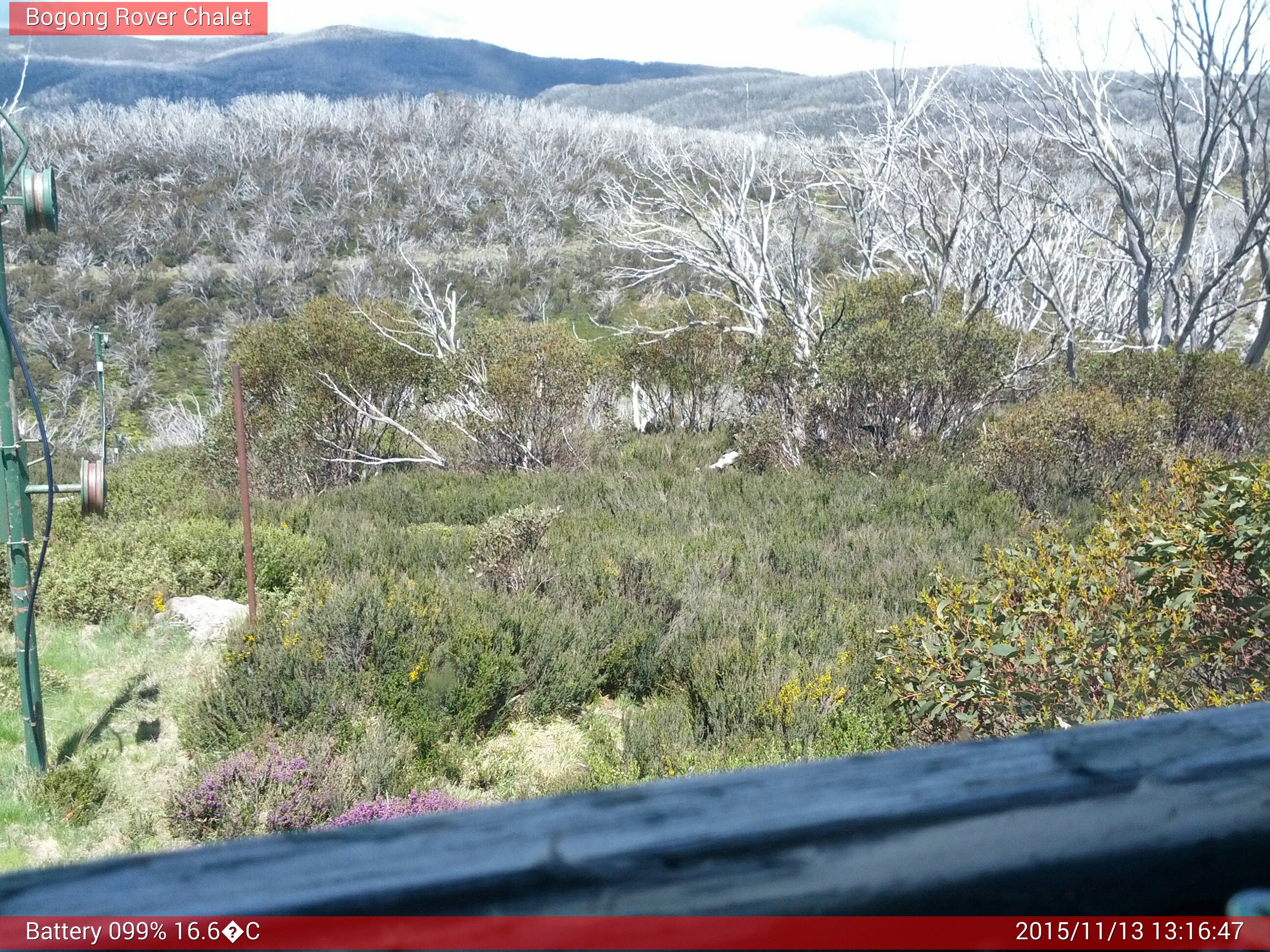 Bogong Web Cam 1:16pm Friday 13th of November 2015