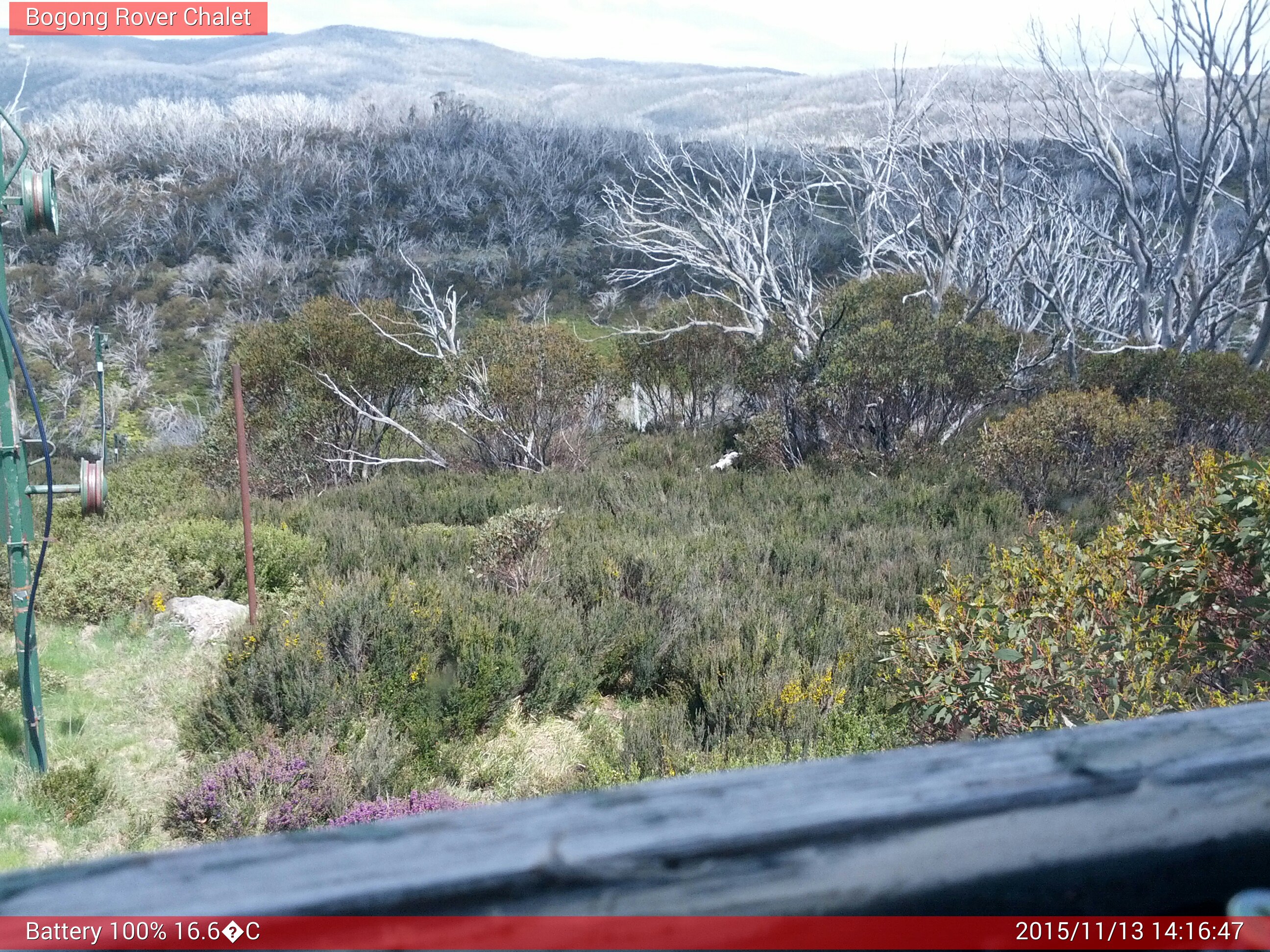 Bogong Web Cam 2:16pm Friday 13th of November 2015