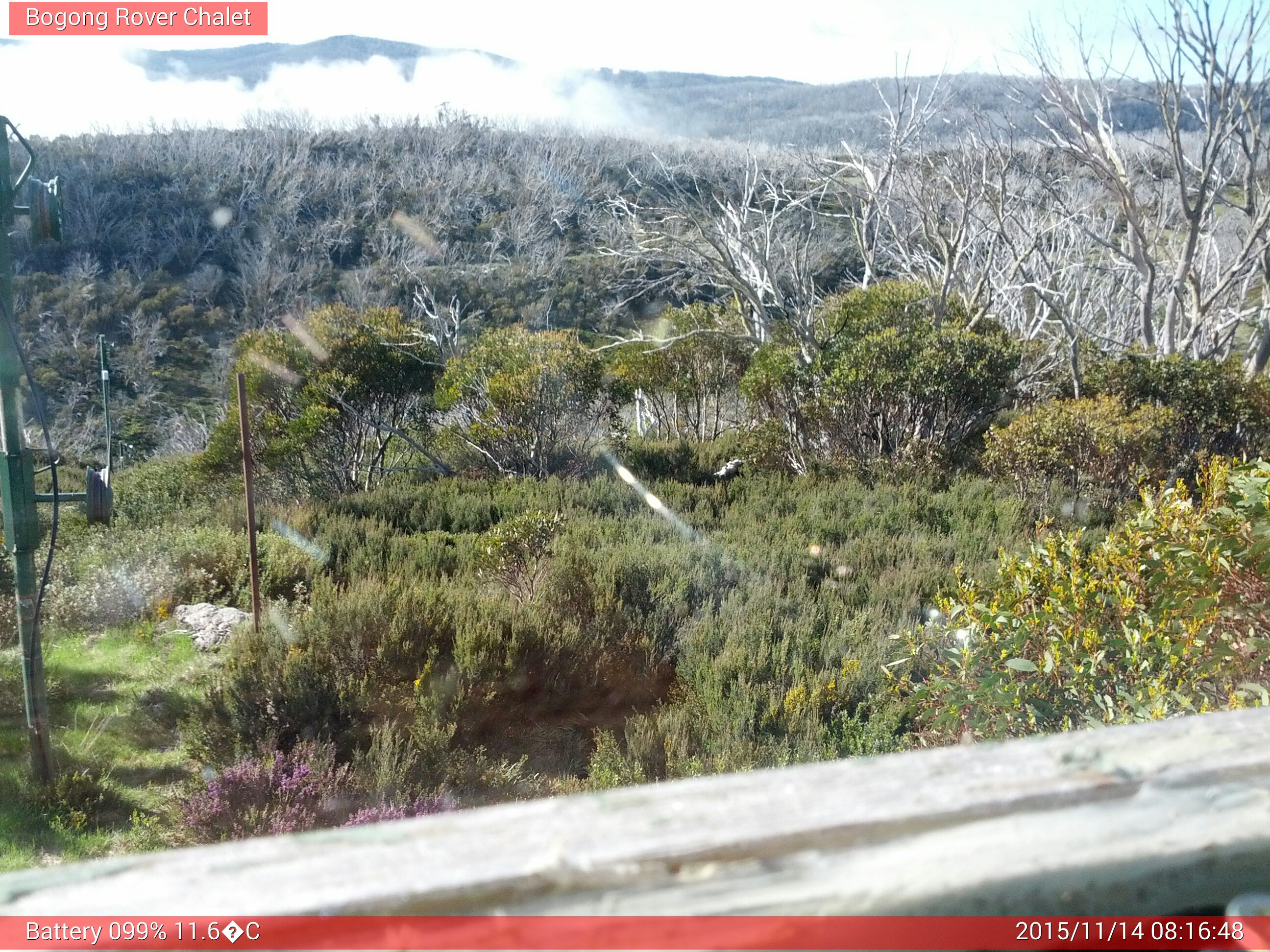 Bogong Web Cam 8:16am Saturday 14th of November 2015