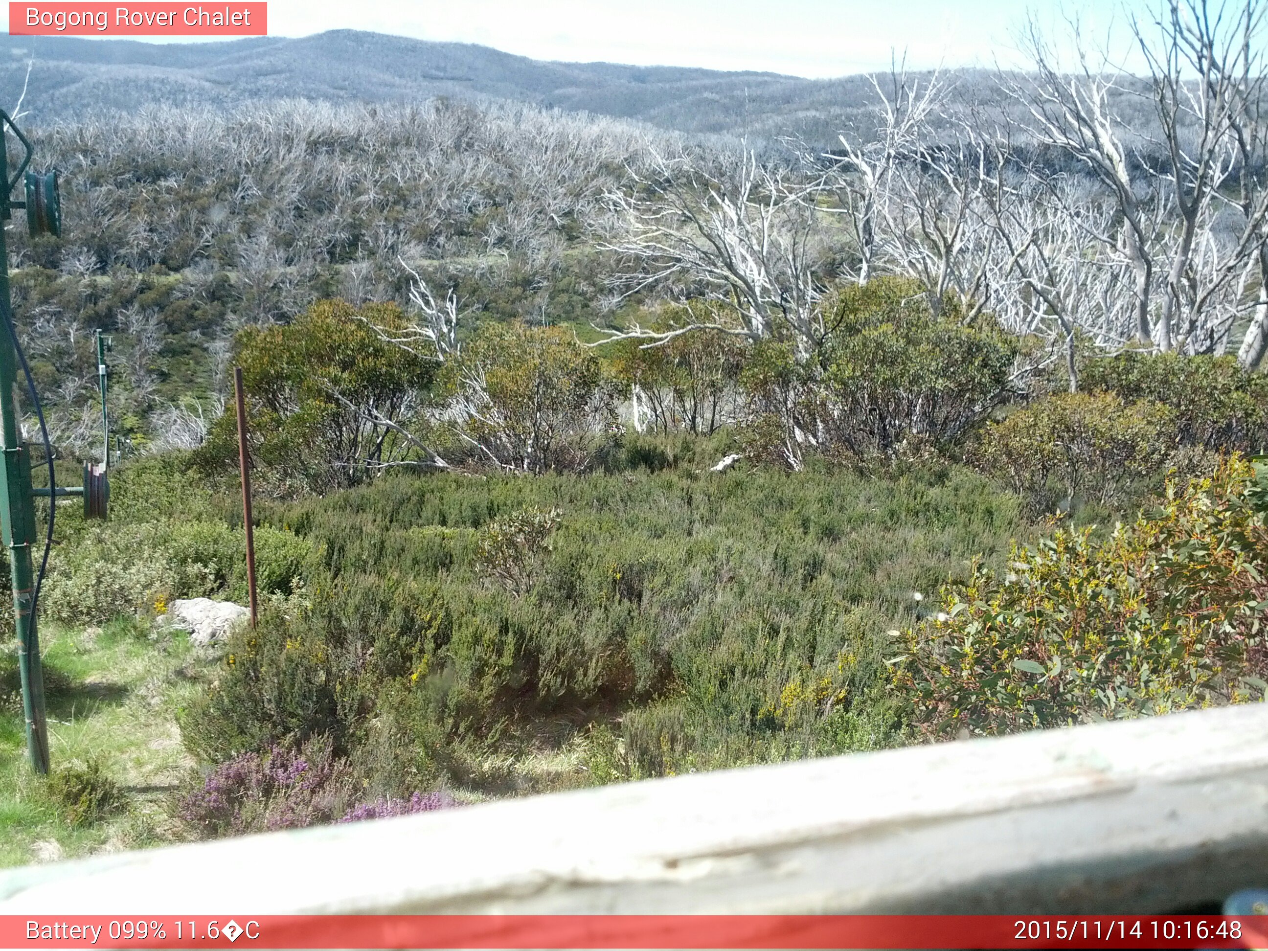 Bogong Web Cam 10:16am Saturday 14th of November 2015