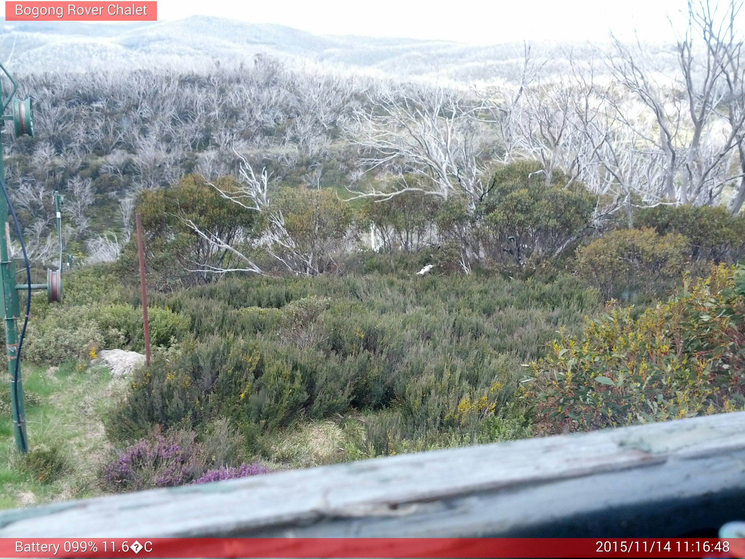 Bogong Web Cam 11:16am Saturday 14th of November 2015