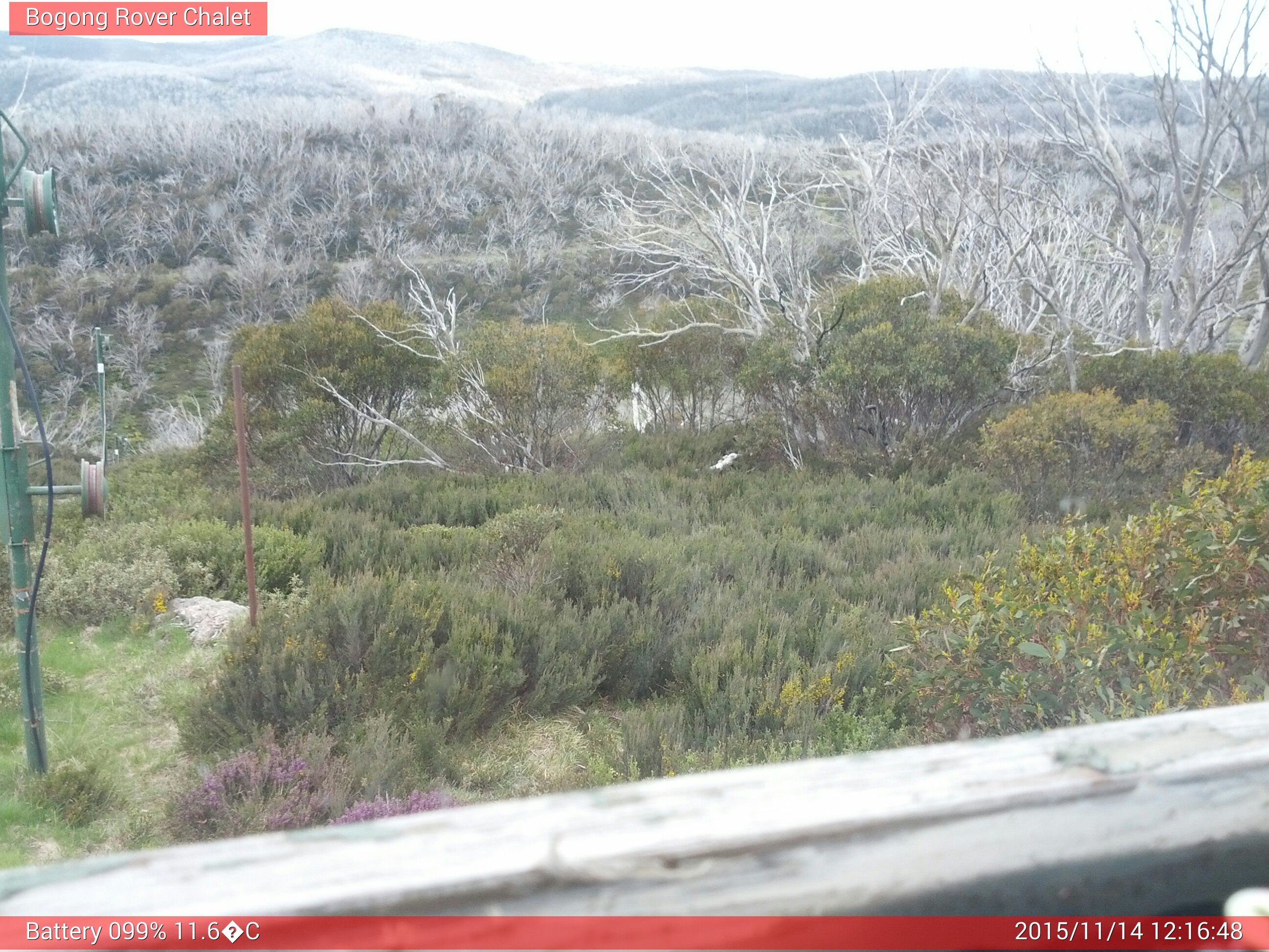 Bogong Web Cam 12:16pm Saturday 14th of November 2015