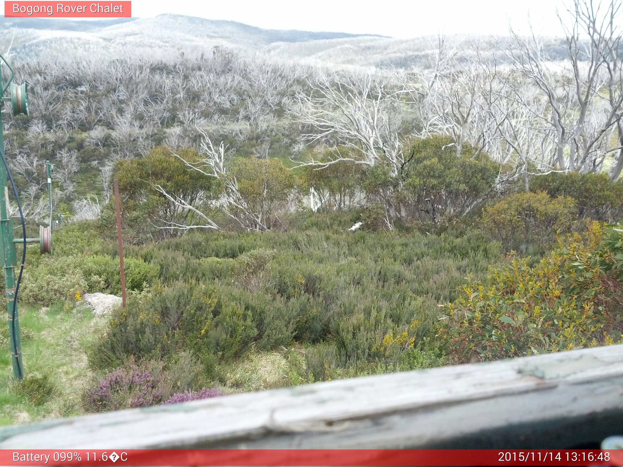 Bogong Web Cam 1:16pm Saturday 14th of November 2015