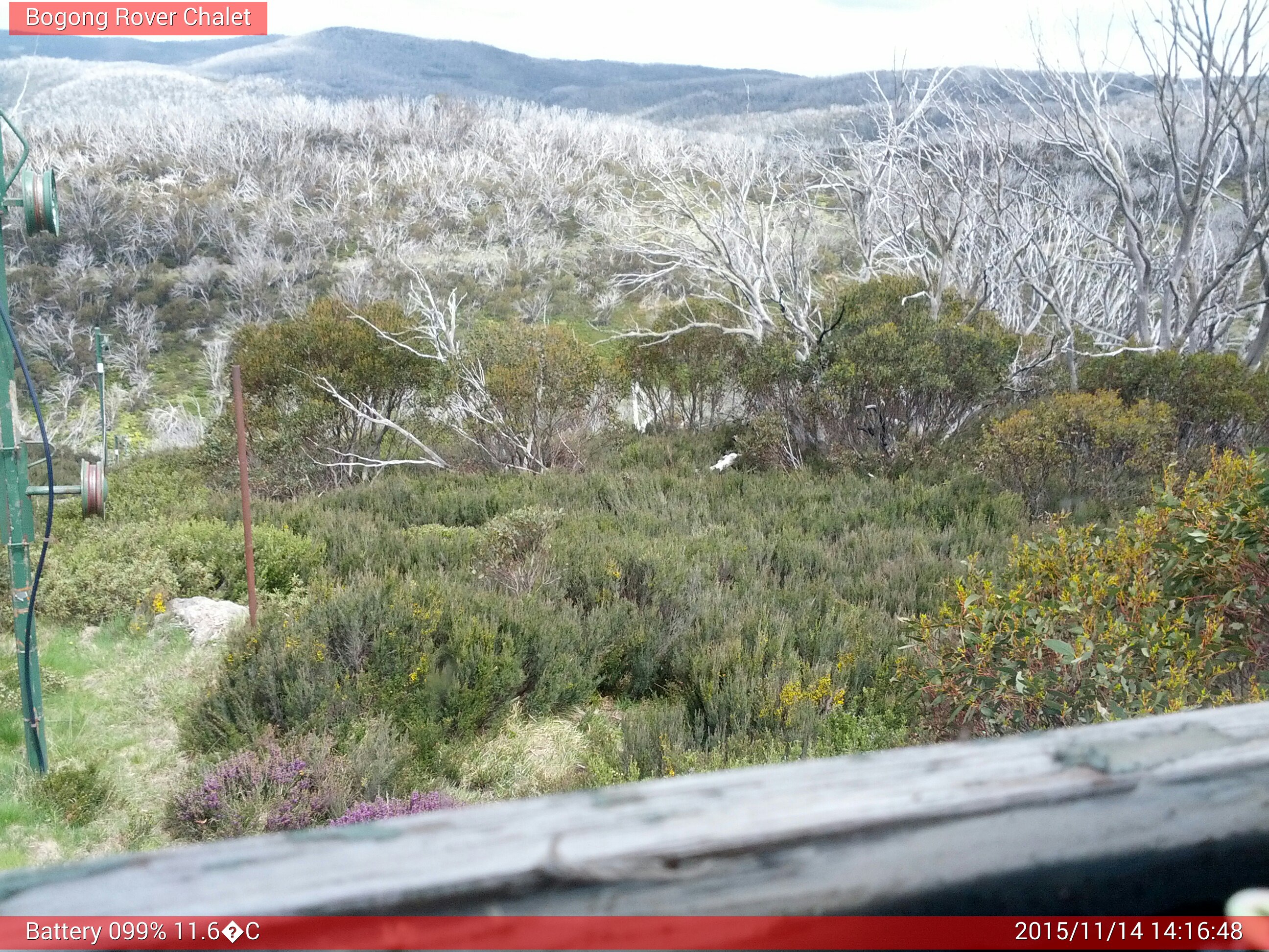 Bogong Web Cam 2:16pm Saturday 14th of November 2015