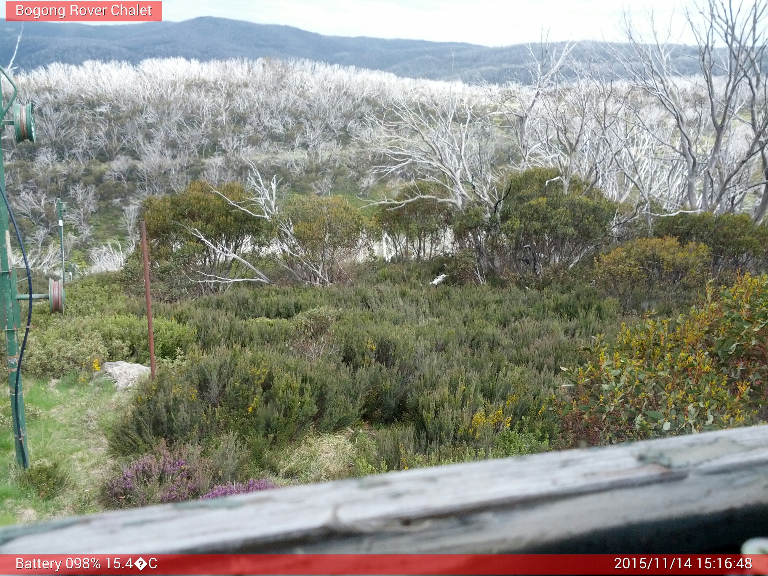 Bogong Web Cam 3:16pm Saturday 14th of November 2015