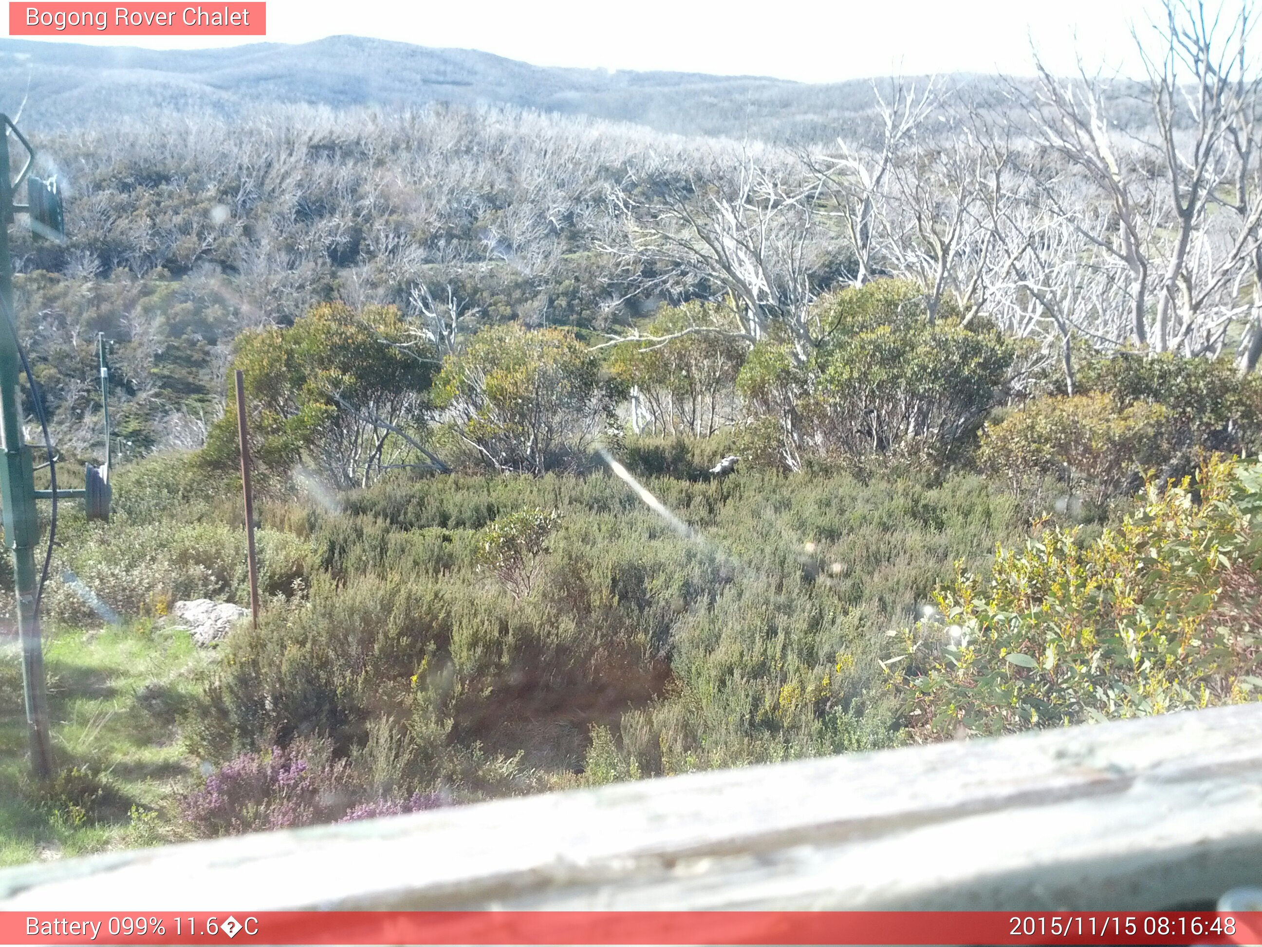 Bogong Web Cam 8:16am Sunday 15th of November 2015