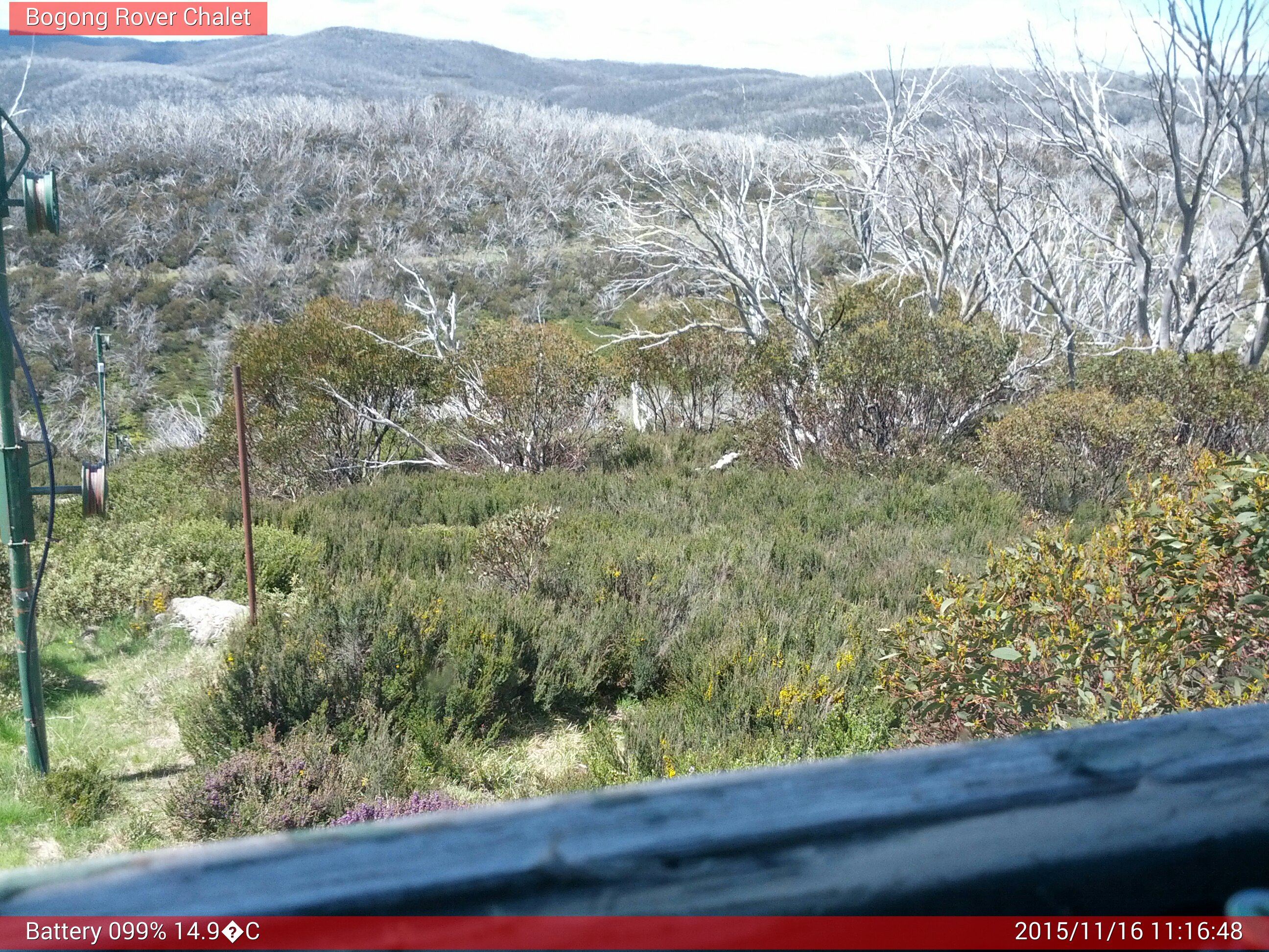 Bogong Web Cam 11:16am Monday 16th of November 2015