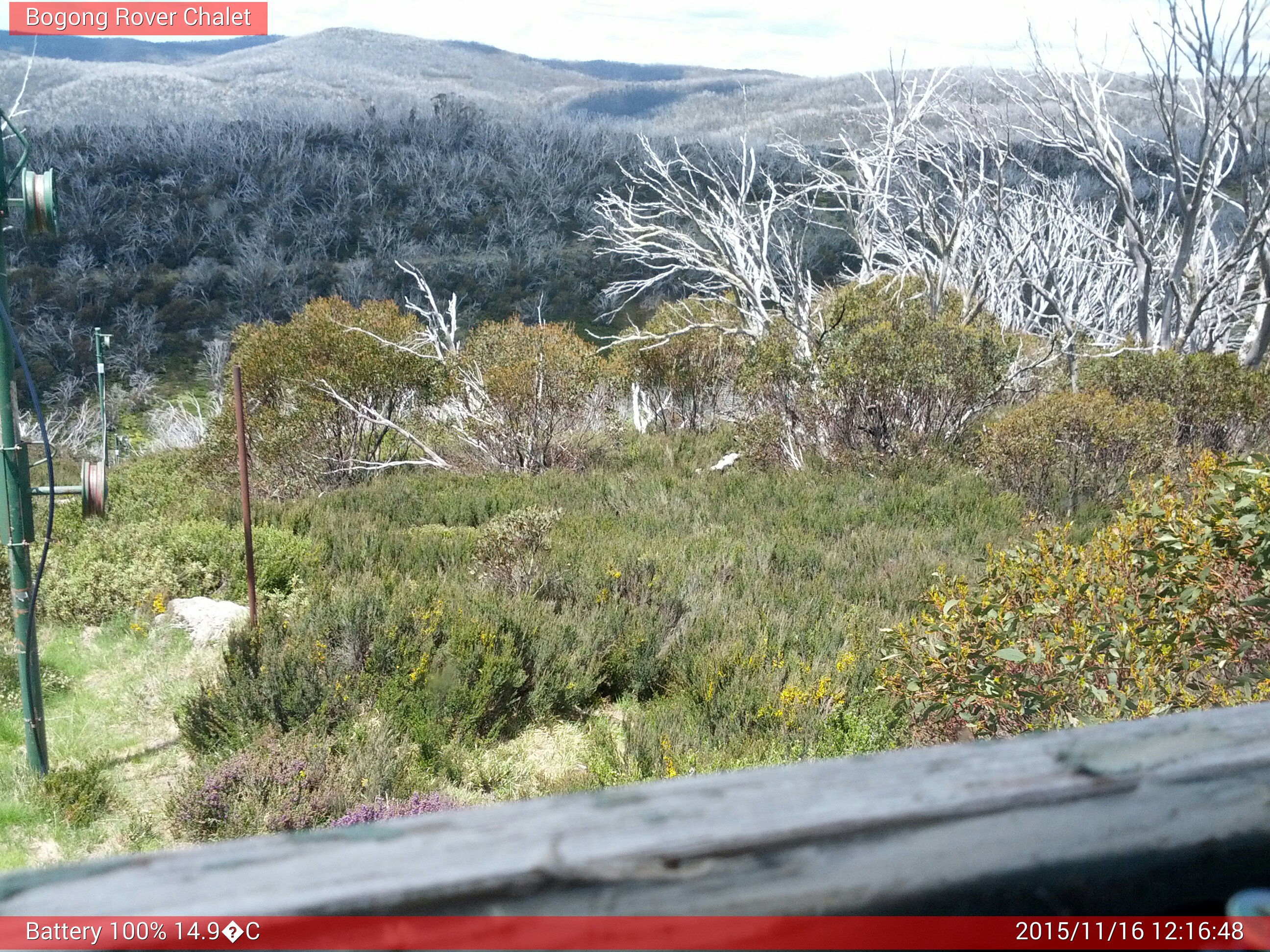 Bogong Web Cam 12:16pm Monday 16th of November 2015