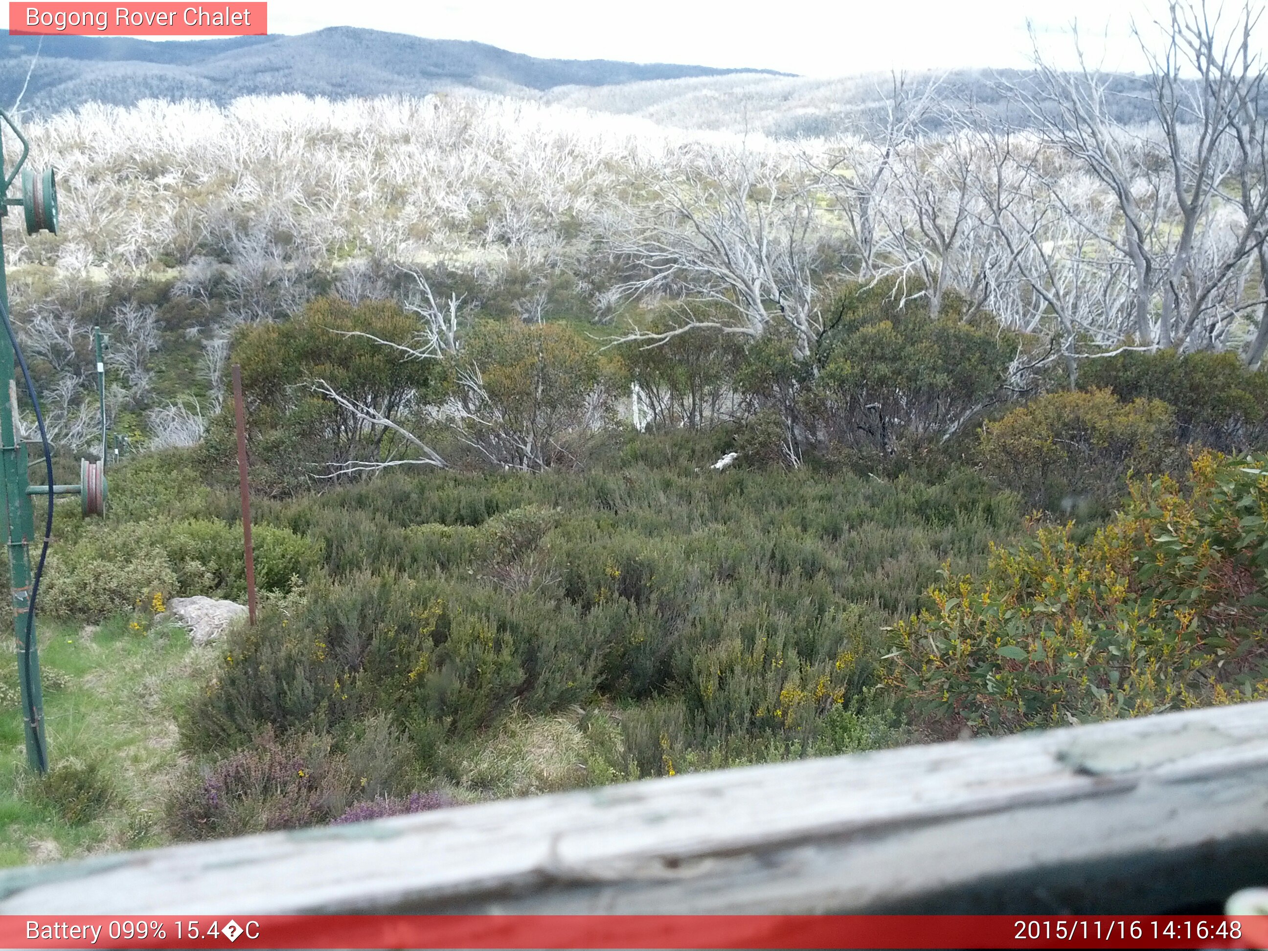 Bogong Web Cam 2:16pm Monday 16th of November 2015