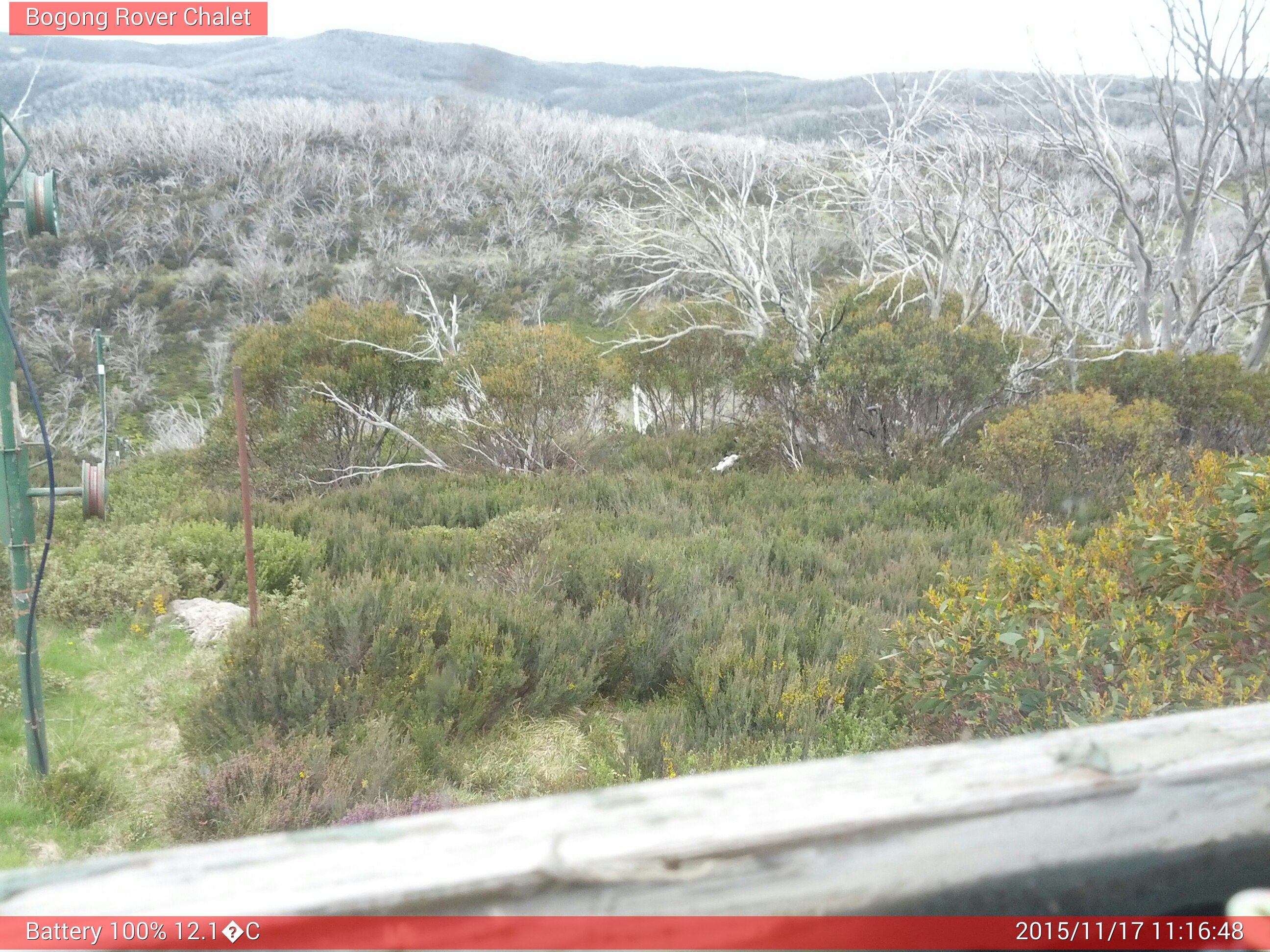 Bogong Web Cam 11:16am Tuesday 17th of November 2015