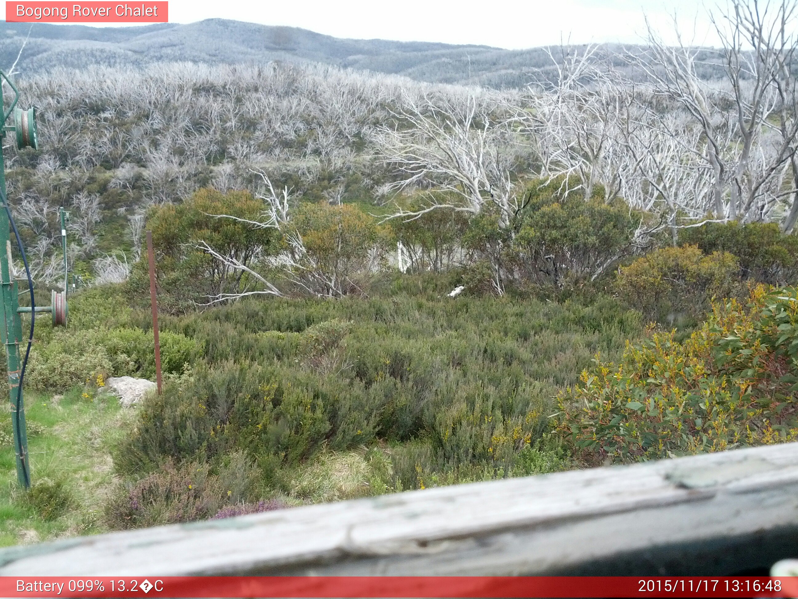 Bogong Web Cam 1:16pm Tuesday 17th of November 2015