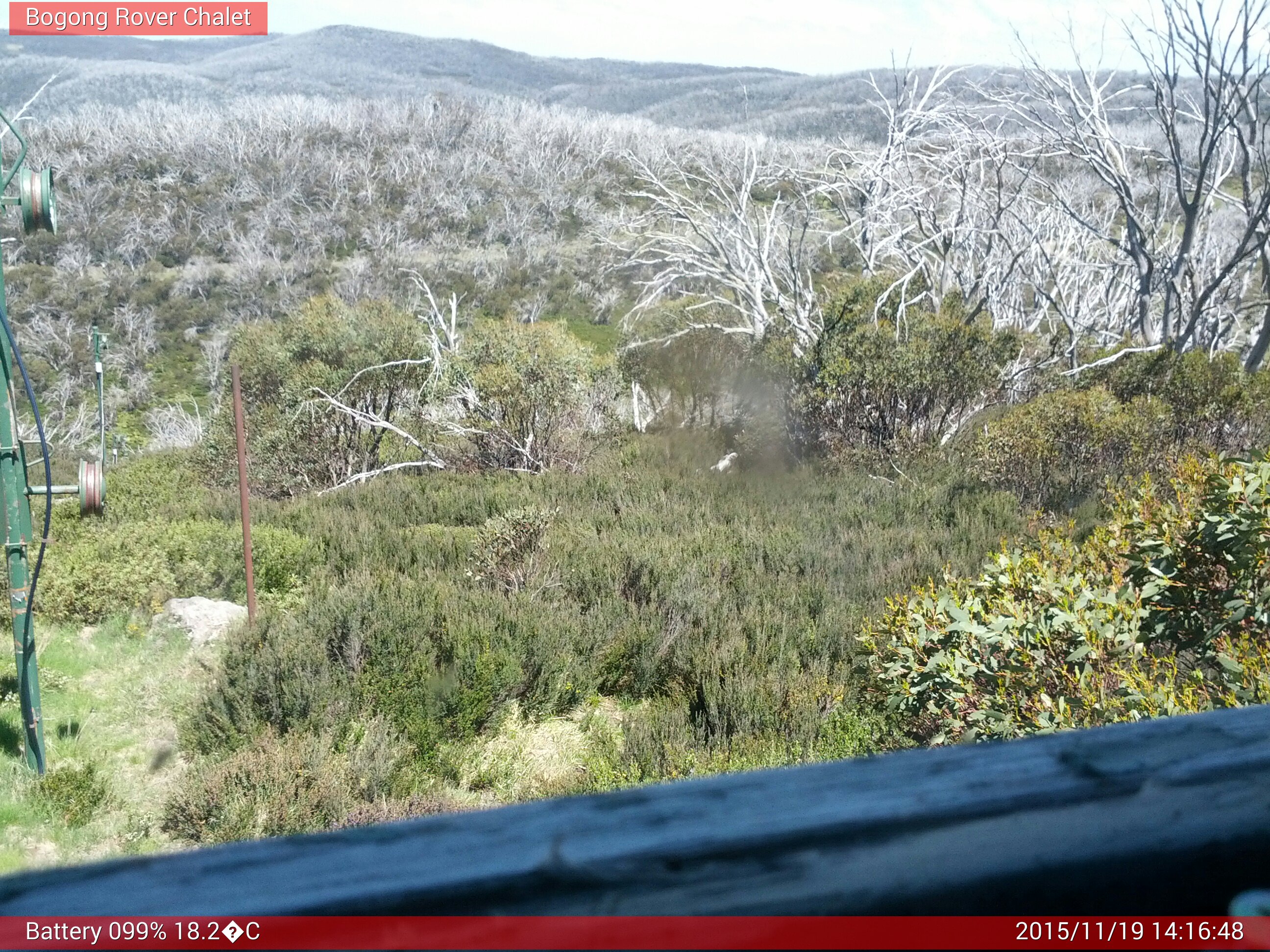 Bogong Web Cam 2:16pm Thursday 19th of November 2015