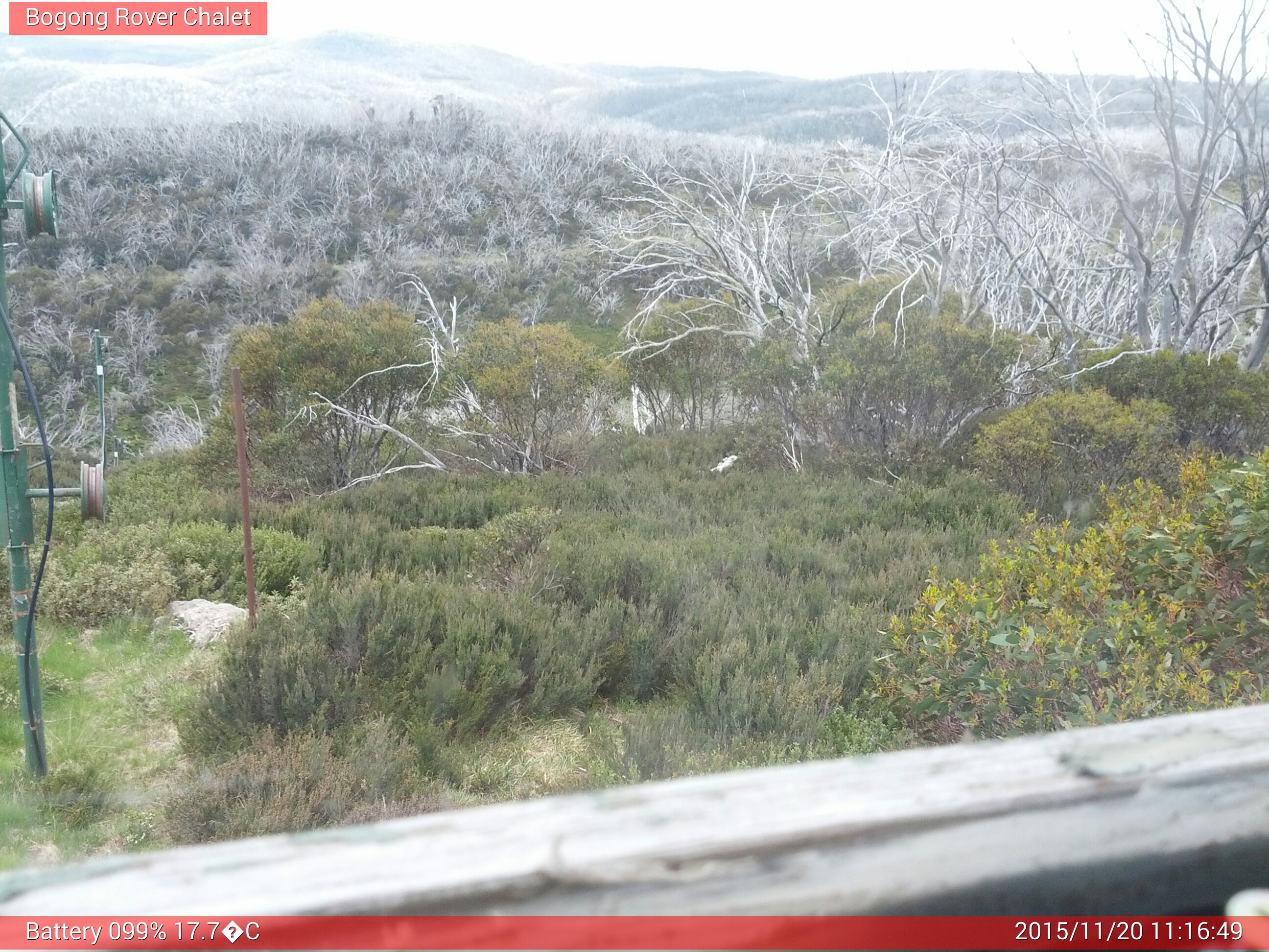 Bogong Web Cam 11:16am Friday 20th of November 2015