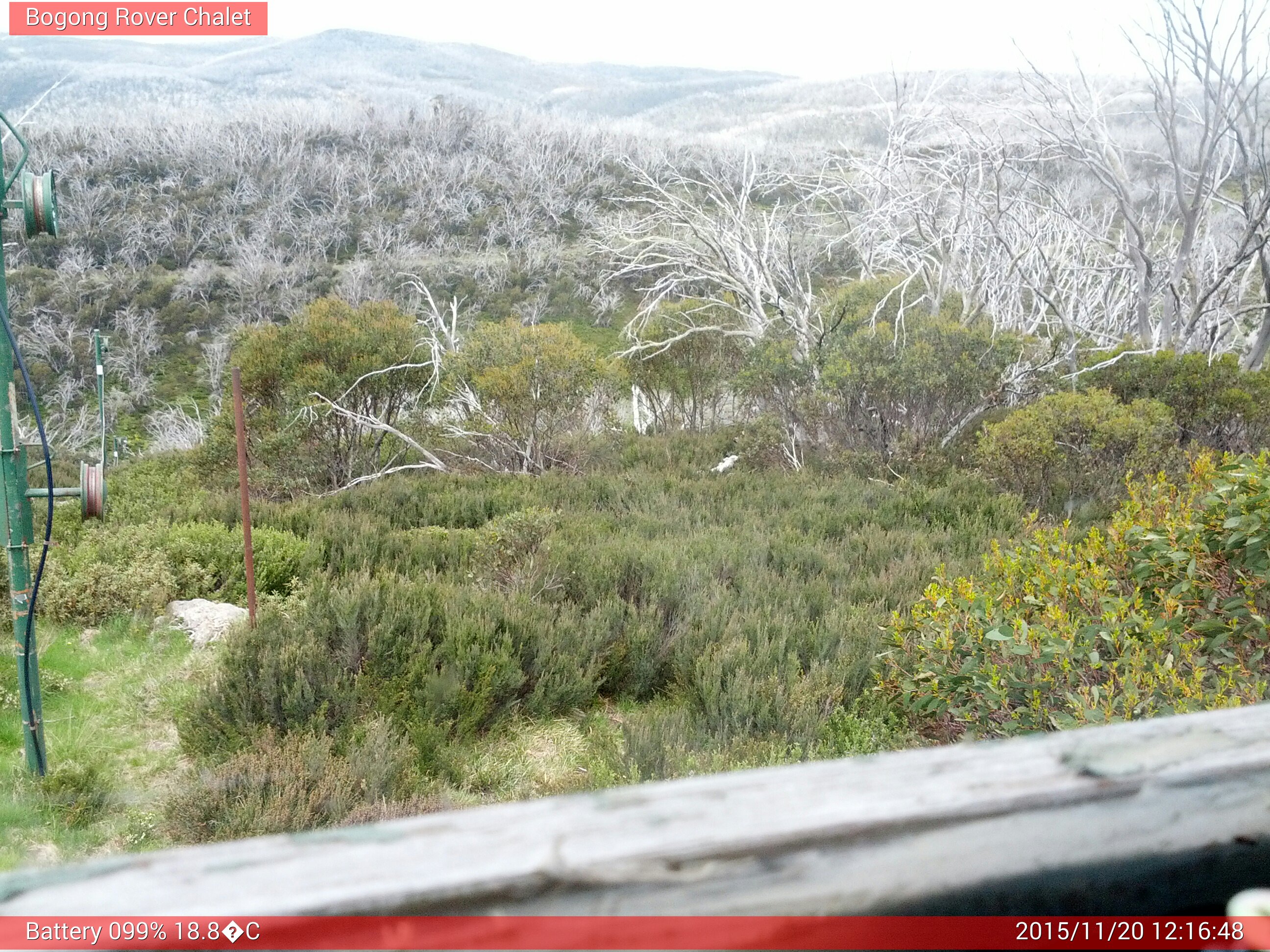 Bogong Web Cam 12:16pm Friday 20th of November 2015