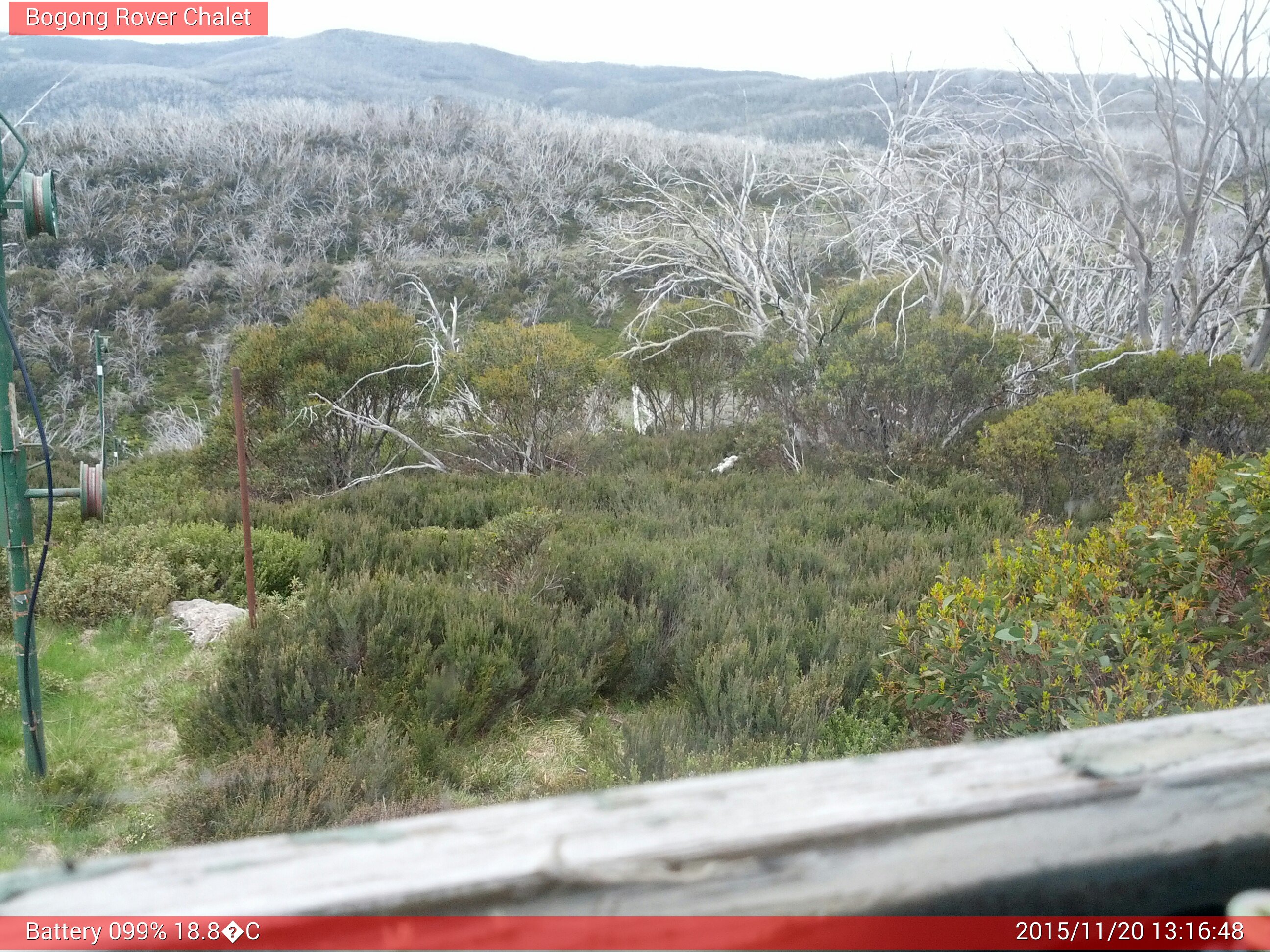 Bogong Web Cam 1:16pm Friday 20th of November 2015